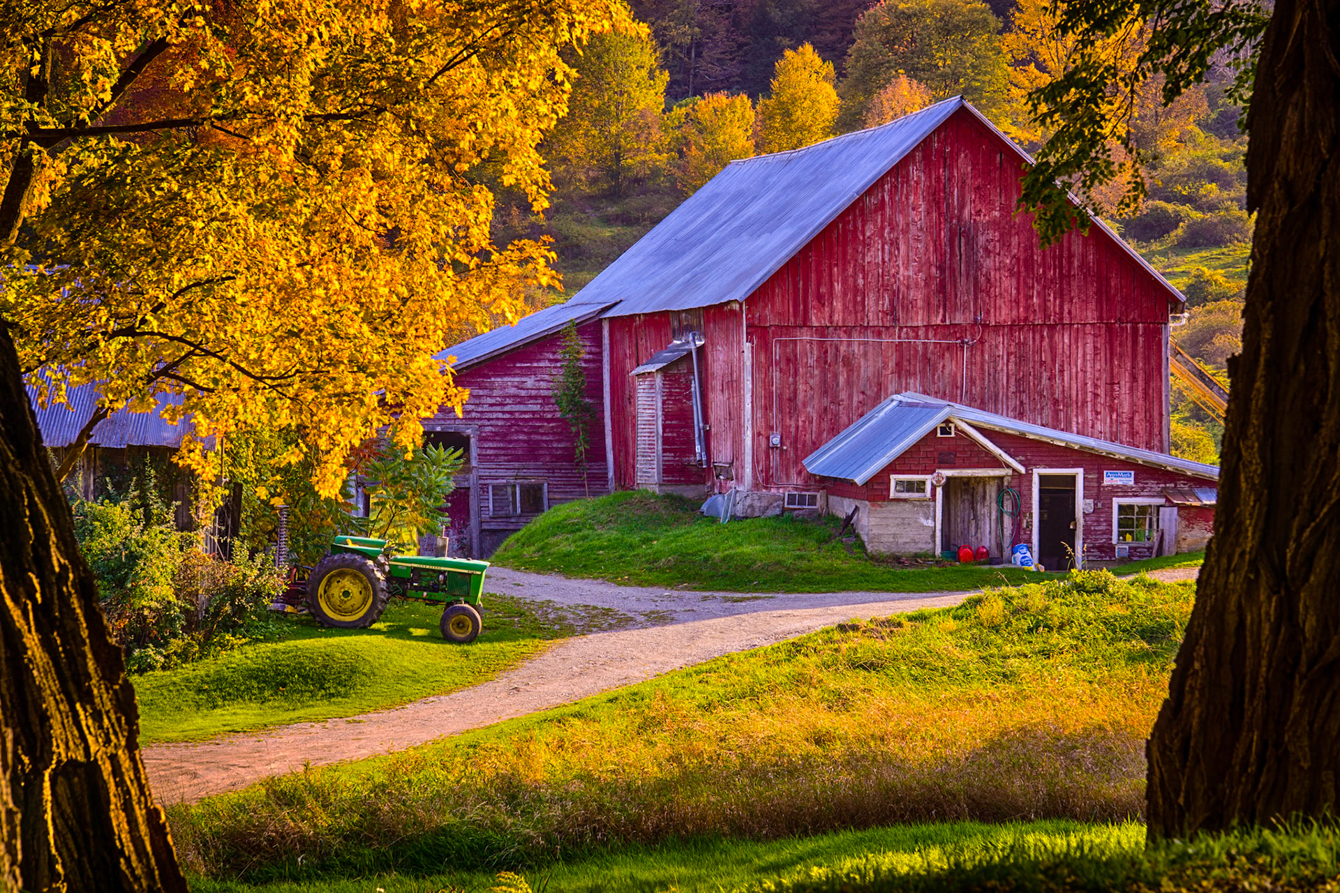 "Autumn Accent" --Ira