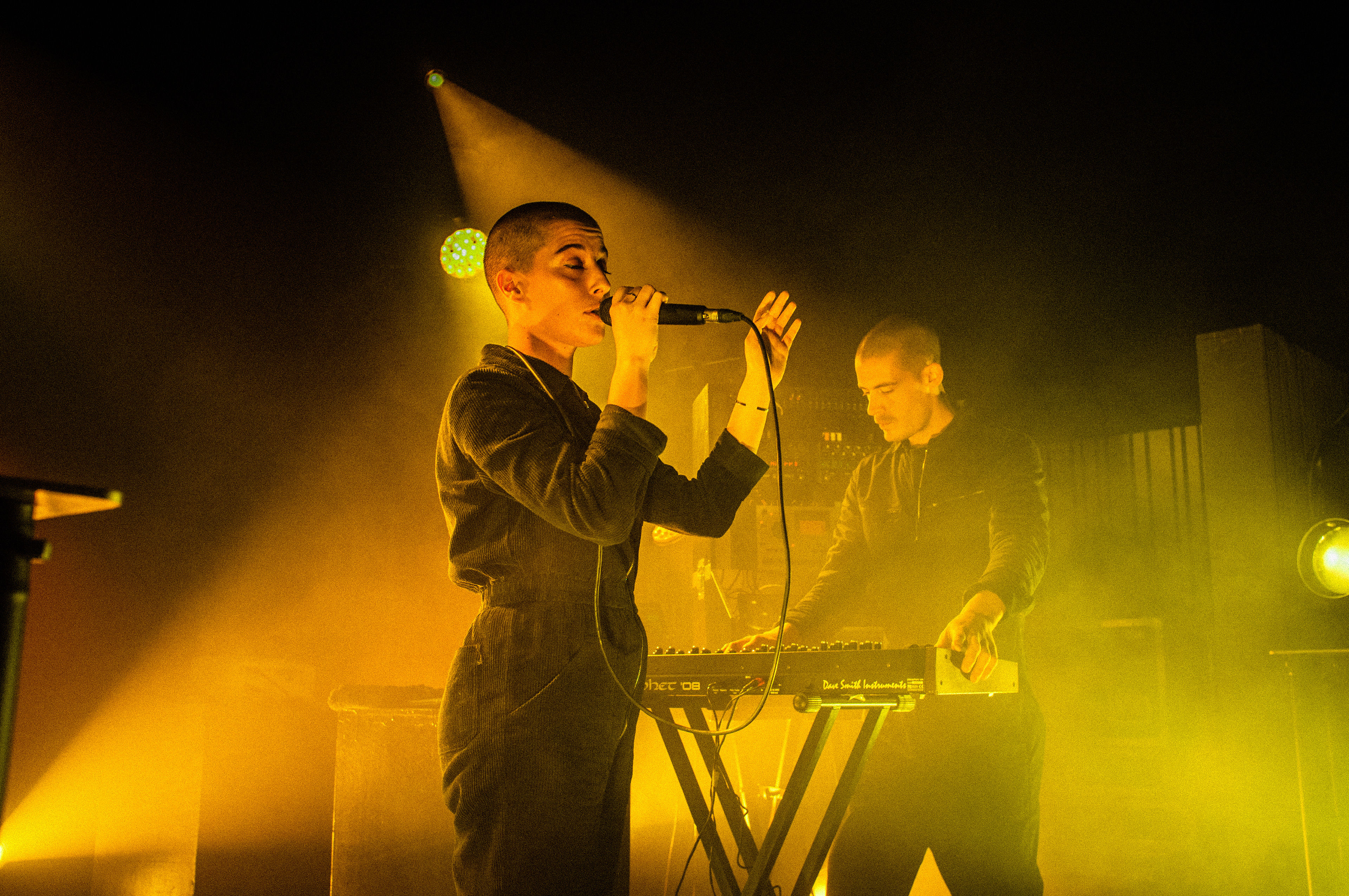 Dampa, La Cité, Angoulême, 2019