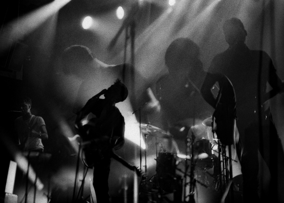 Purrs, La Nef, Angoulême, 2021