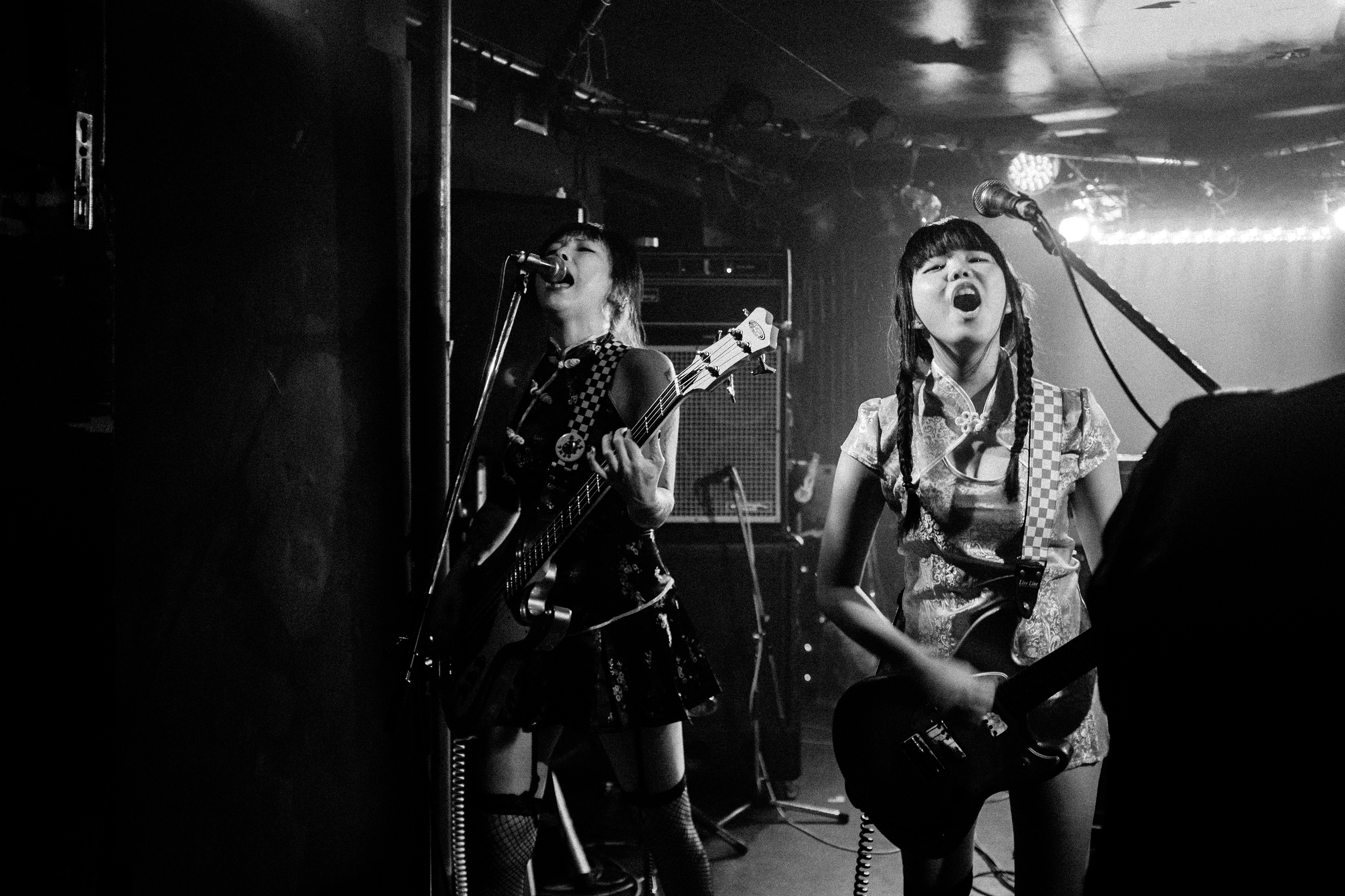 Chuck it Daisy, Sengokudaitōryō Osaka, 2016