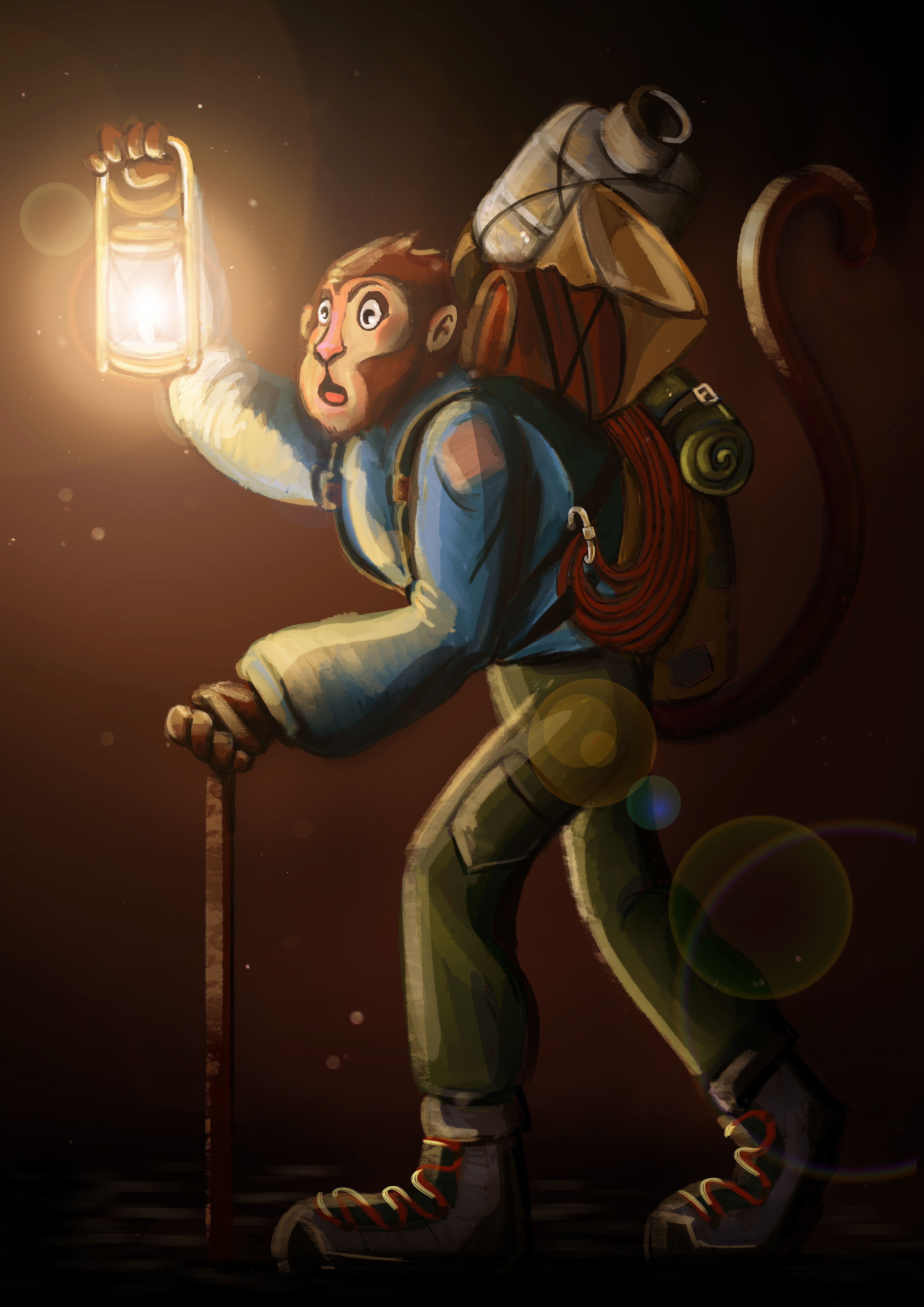 Where the Light Leads