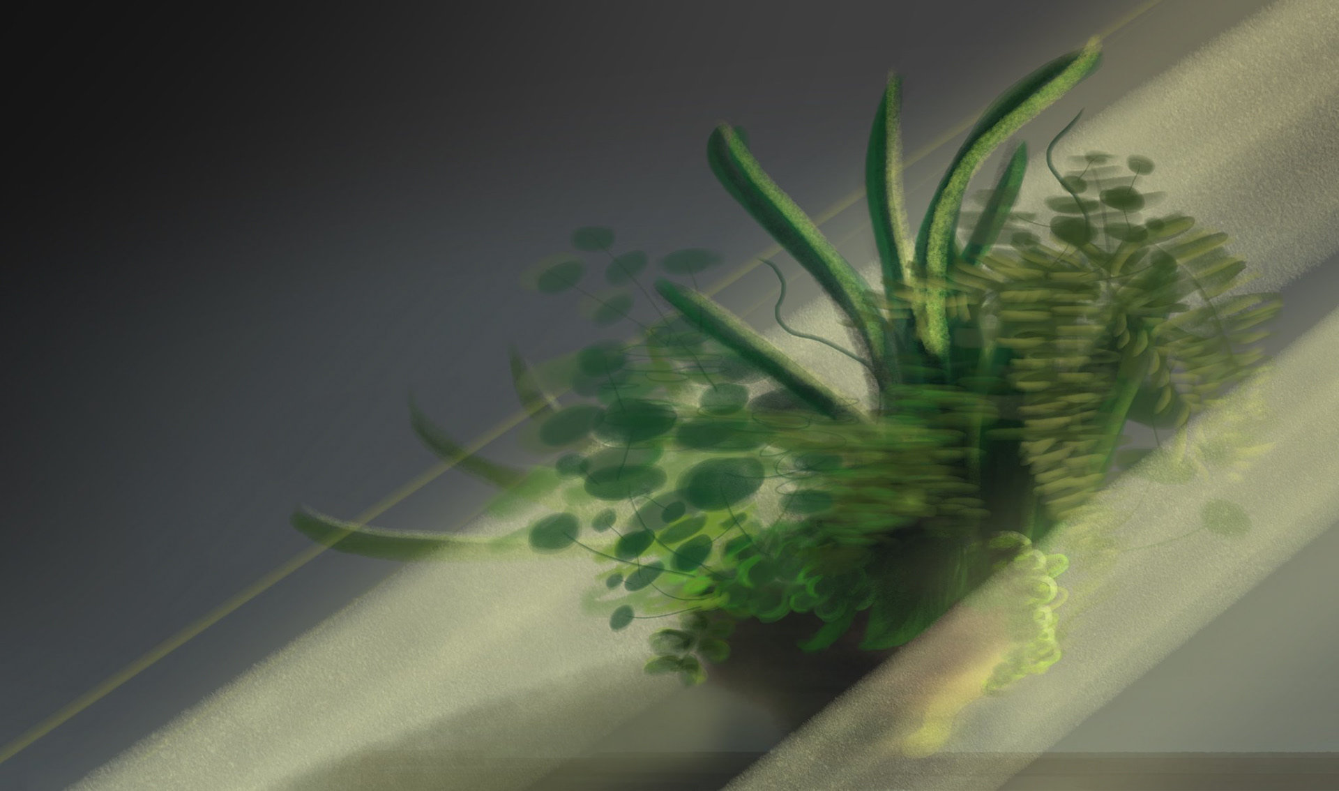 Sunbeam Study