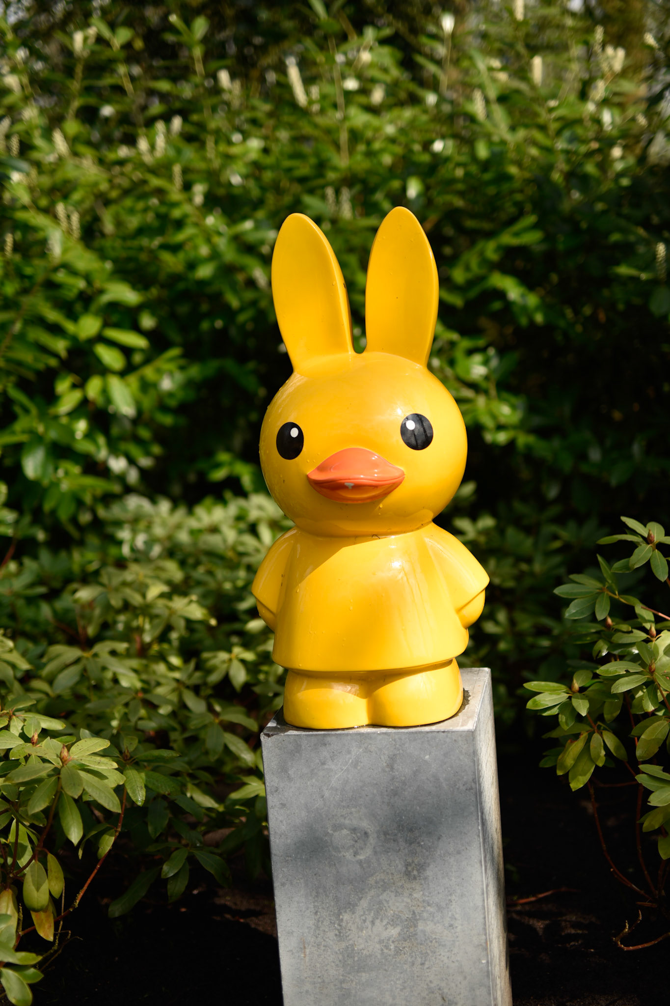 duck miffy (nintje)