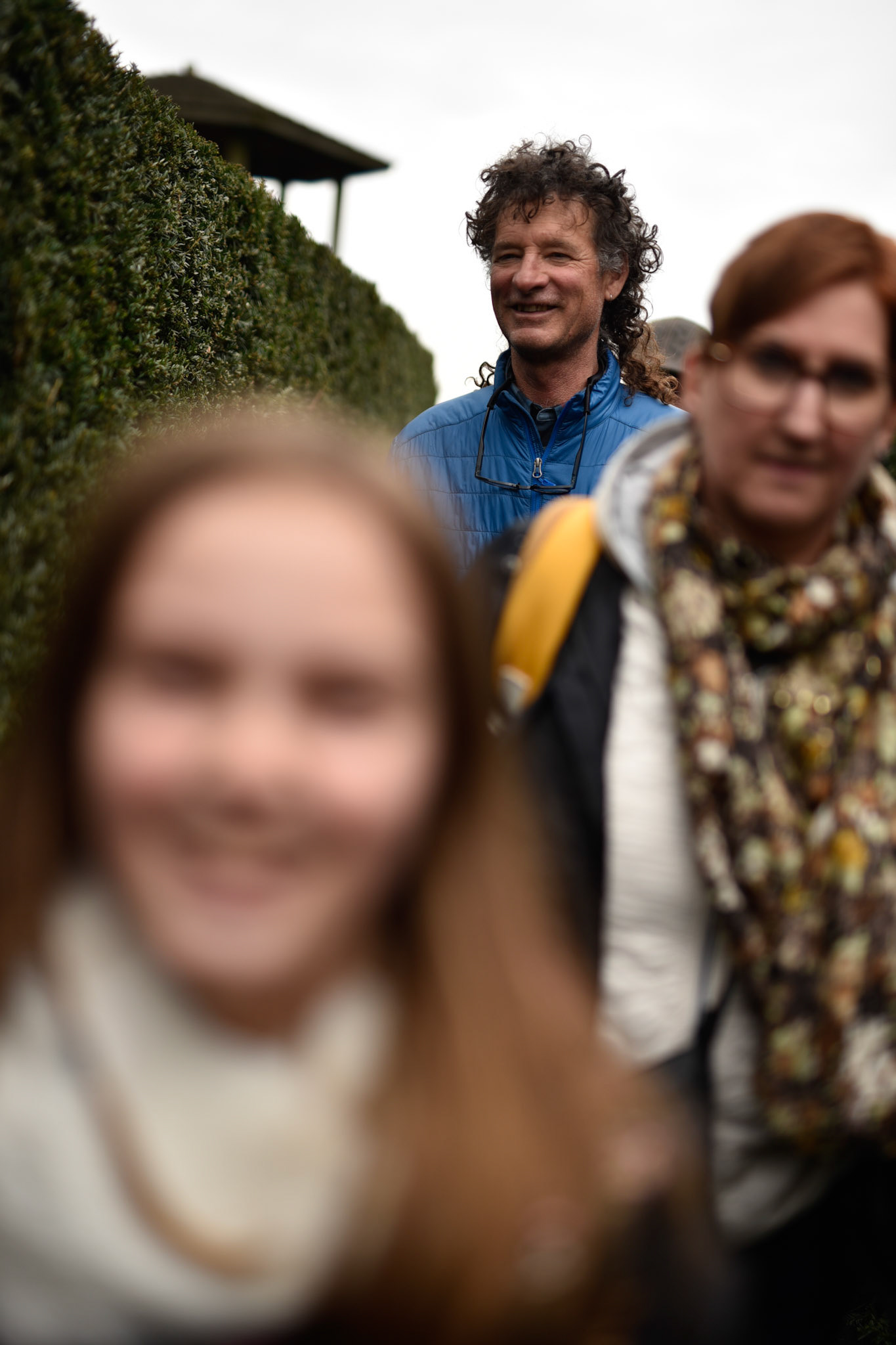 walking through a hedge maze