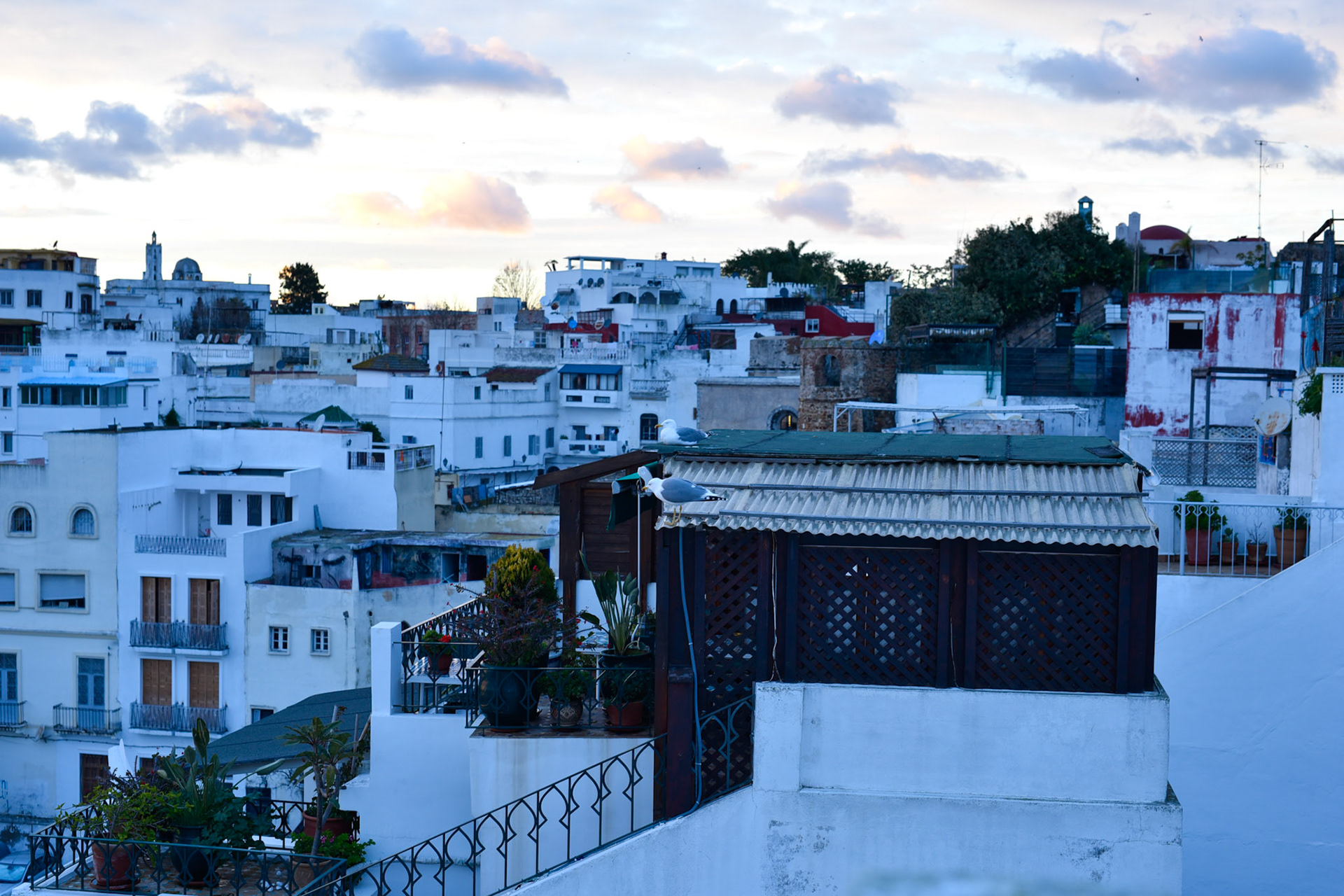 rooftops