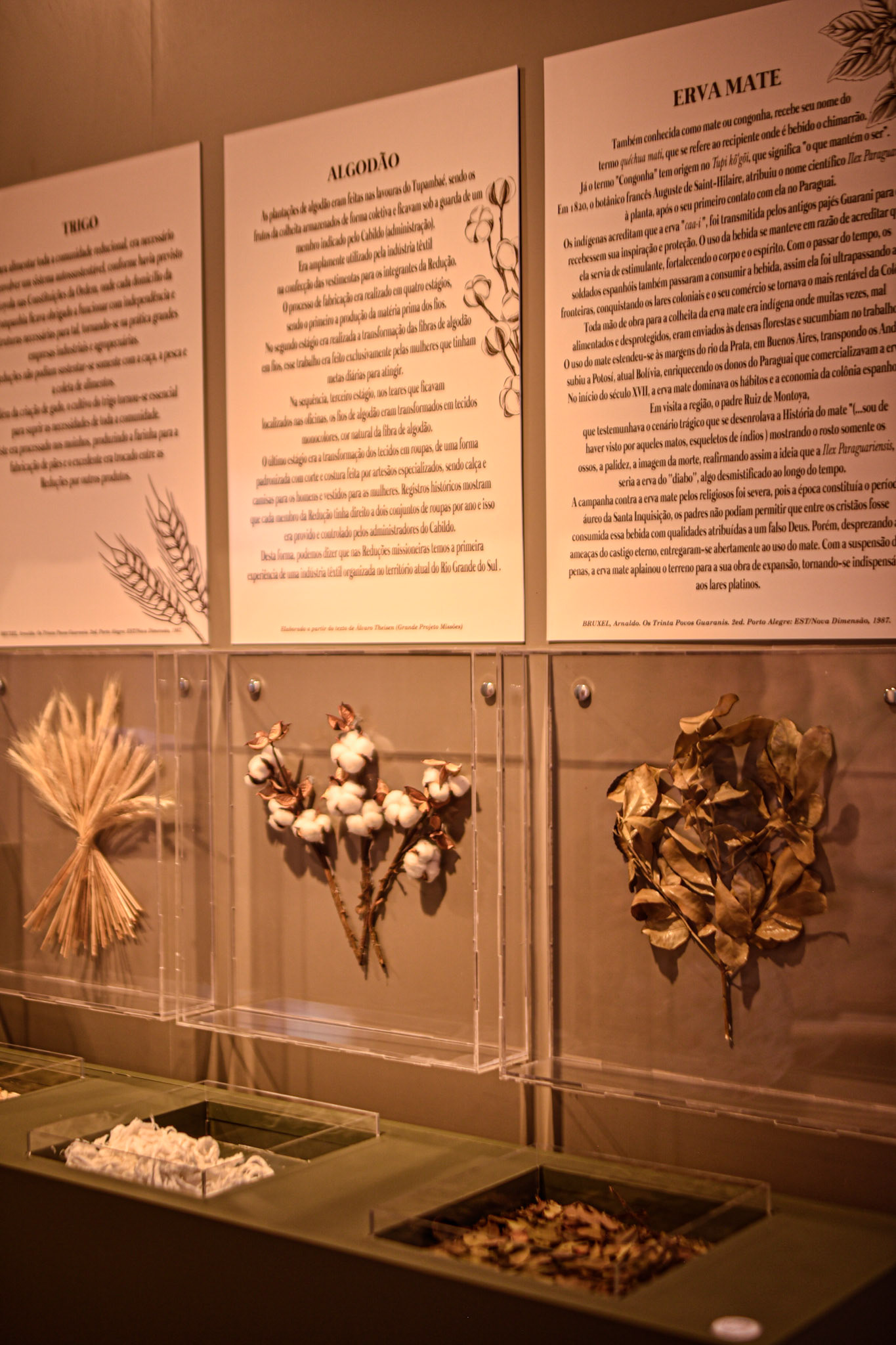 Wheat, cotton, and yerba mate