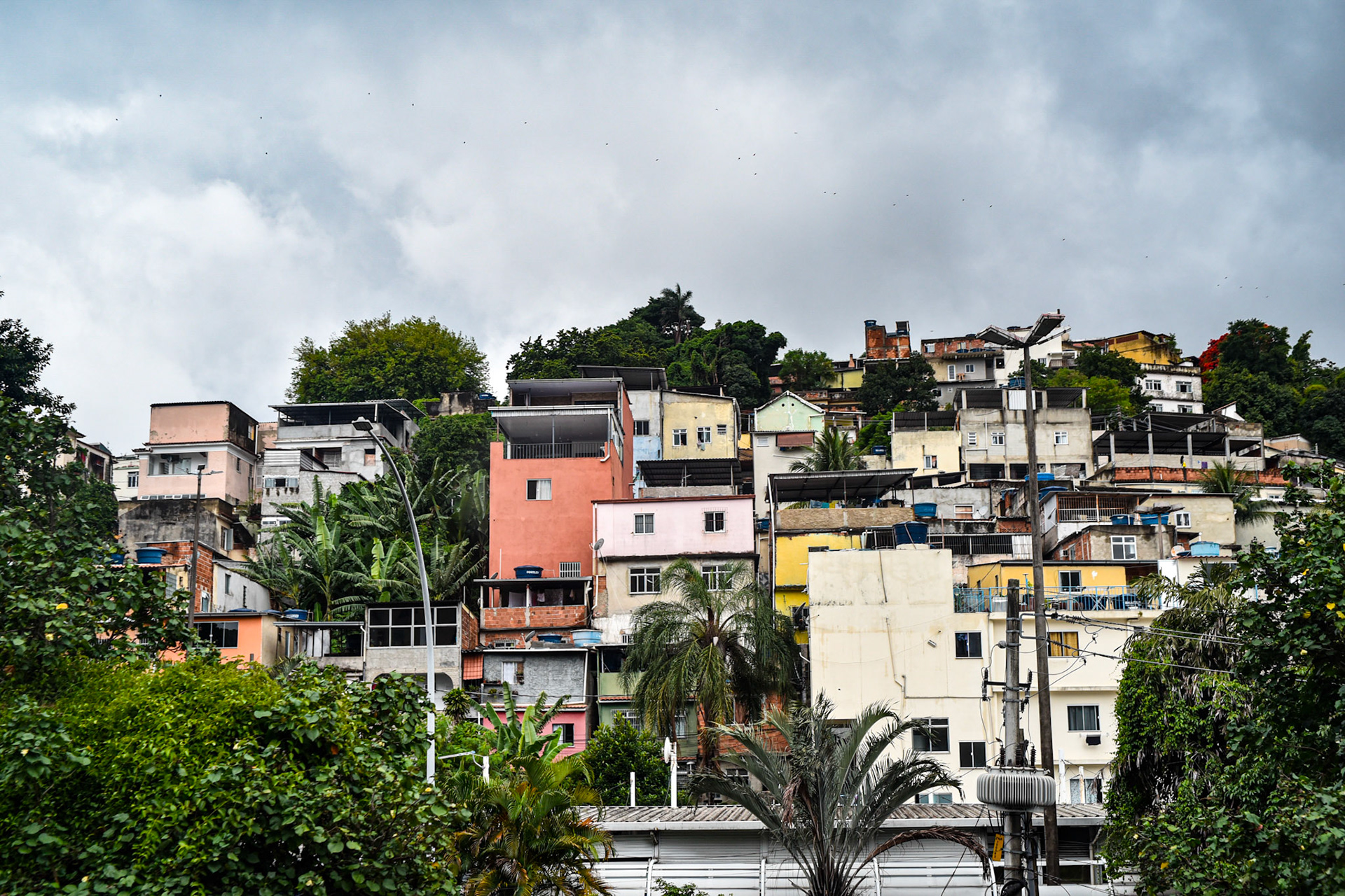 I mean, they're kinda cute