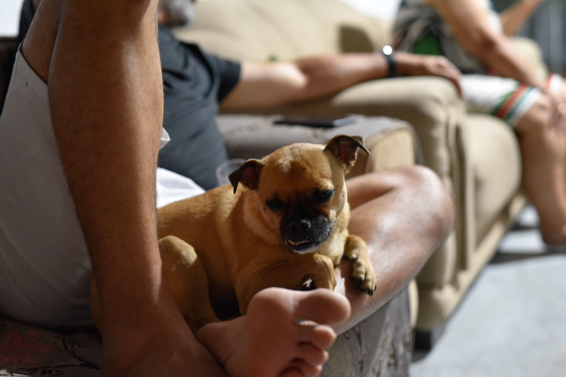 Martini and his Papa