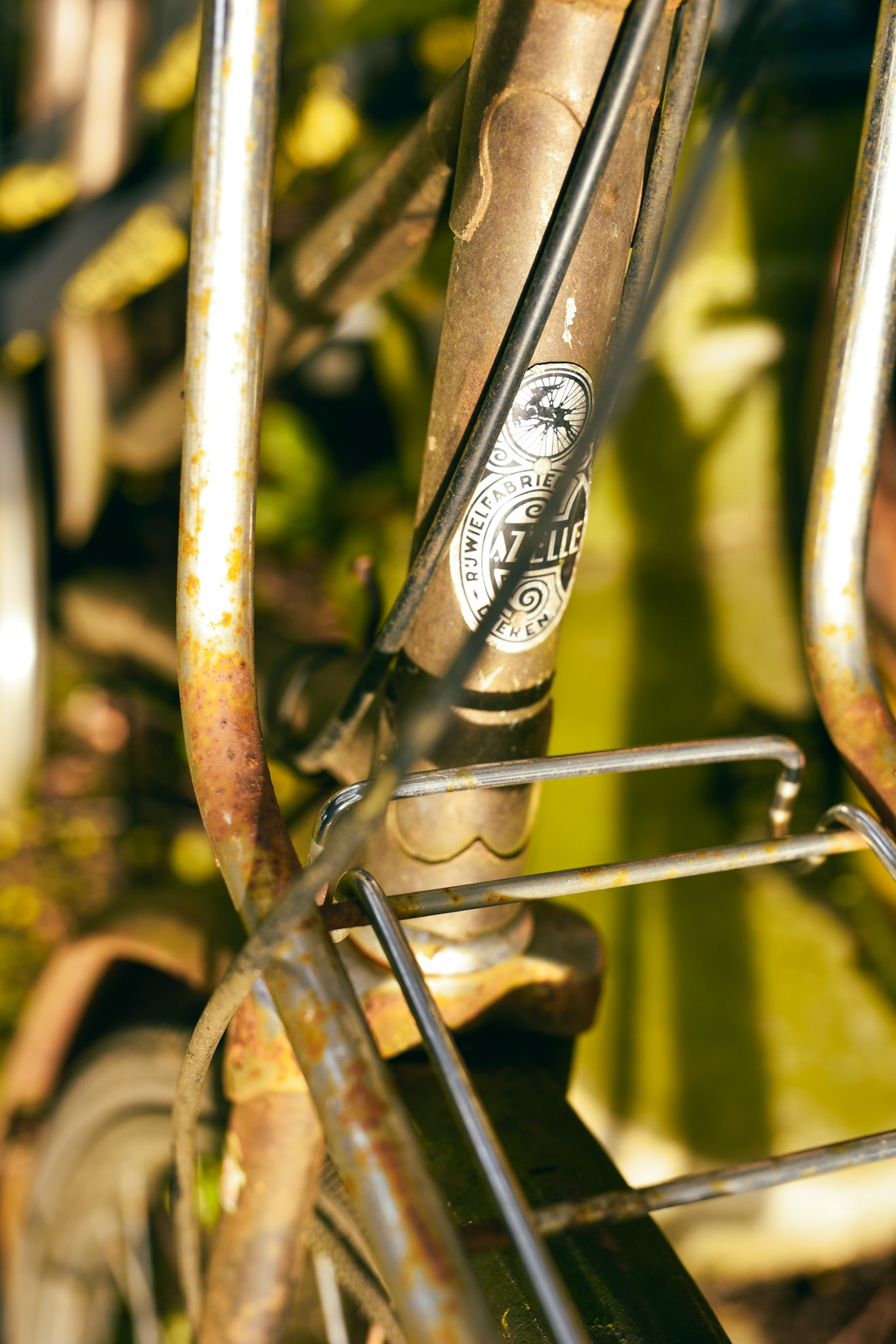 Gazelle bicycle headbadge