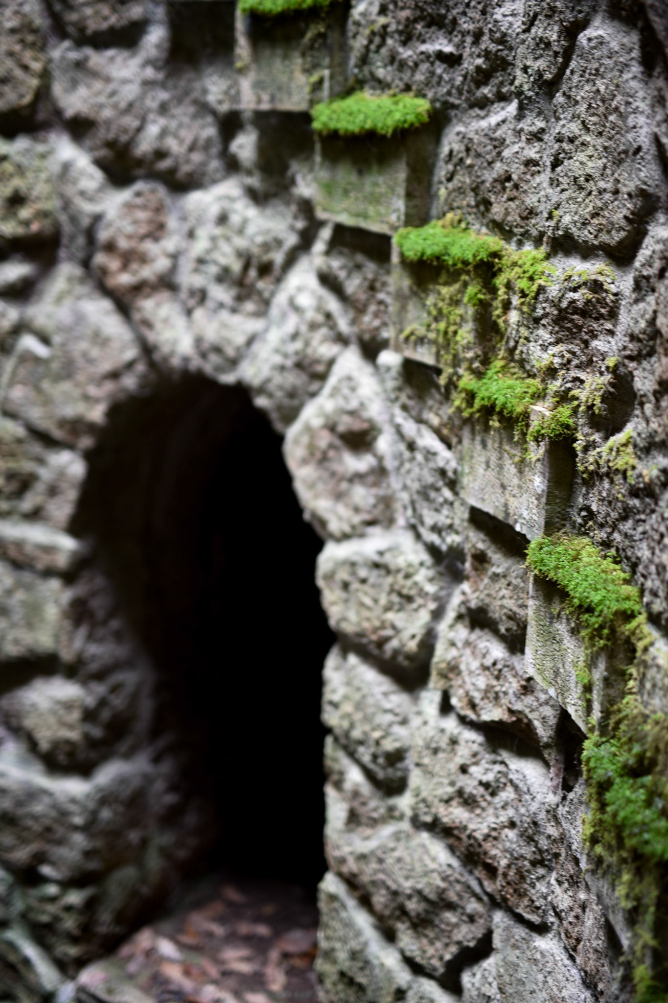 step moss