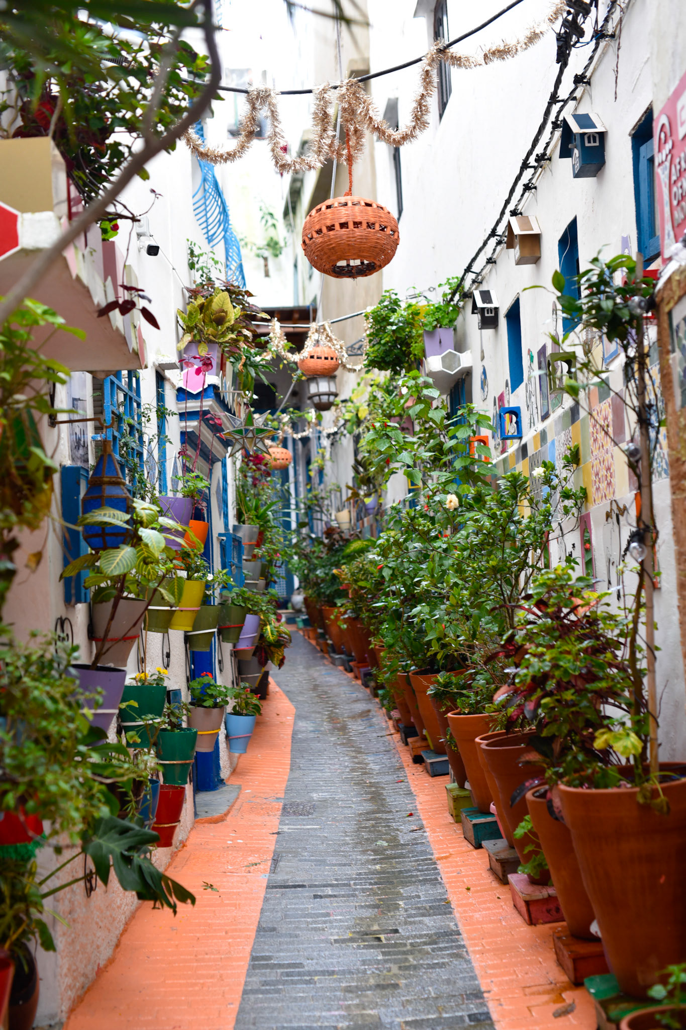 beautiful street