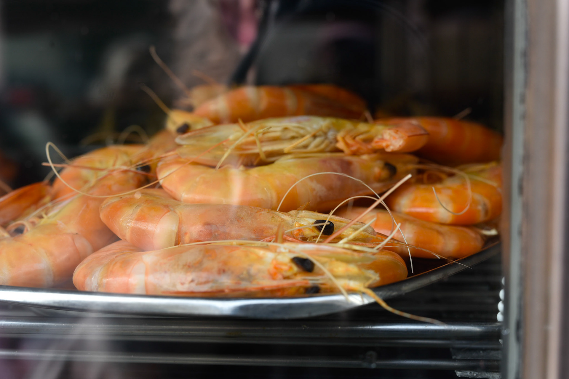 shrimp in window
