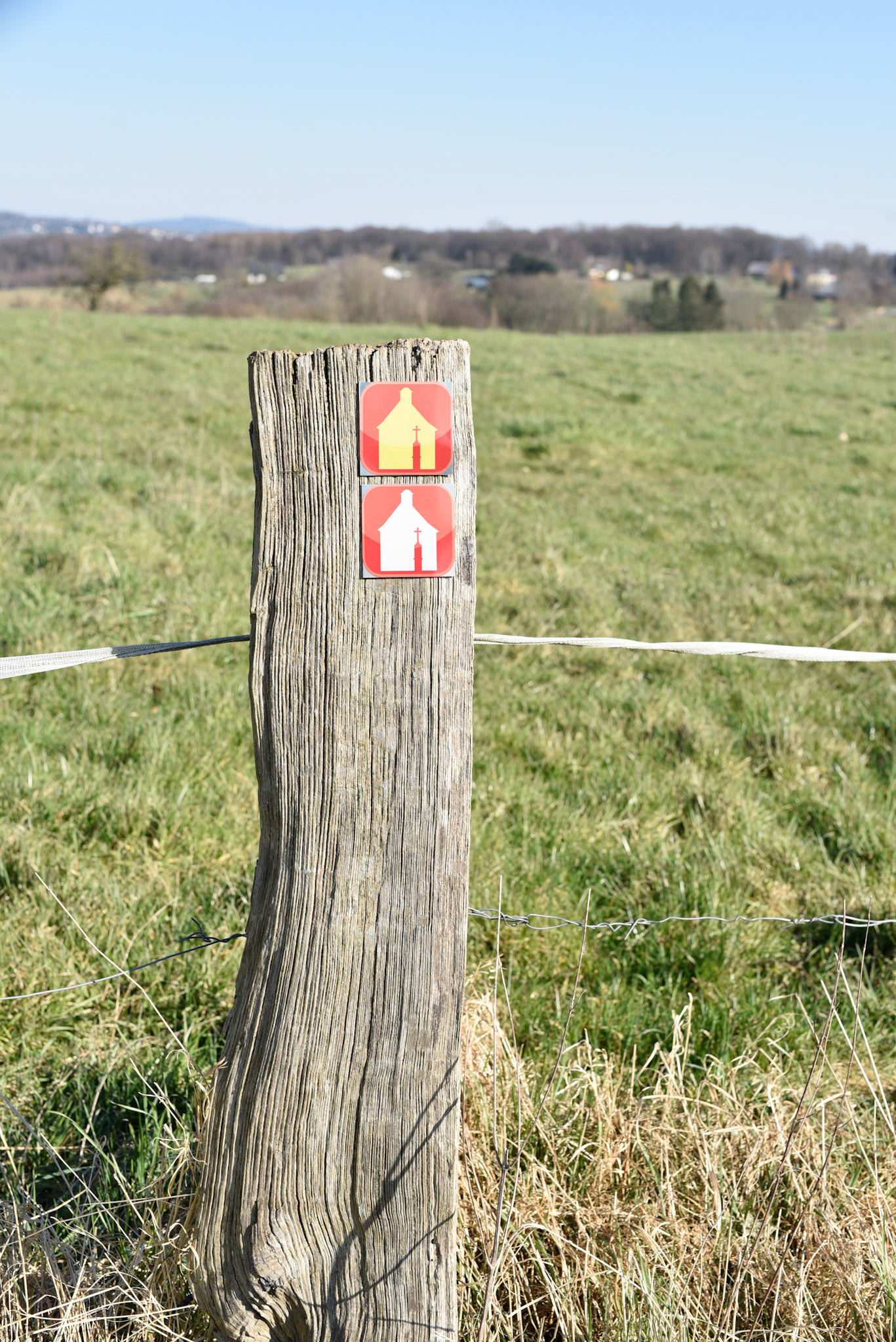 Yellow church white church