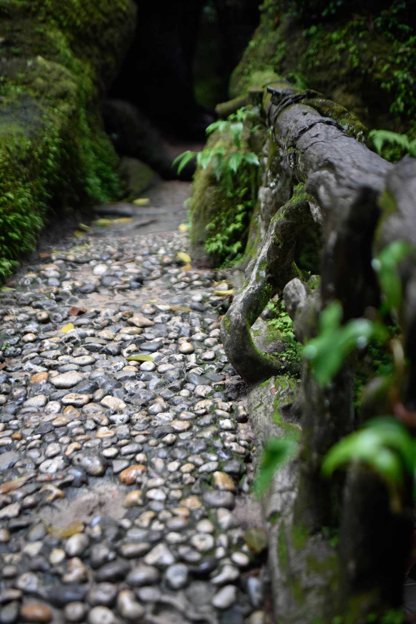 elevated path in Park Lage