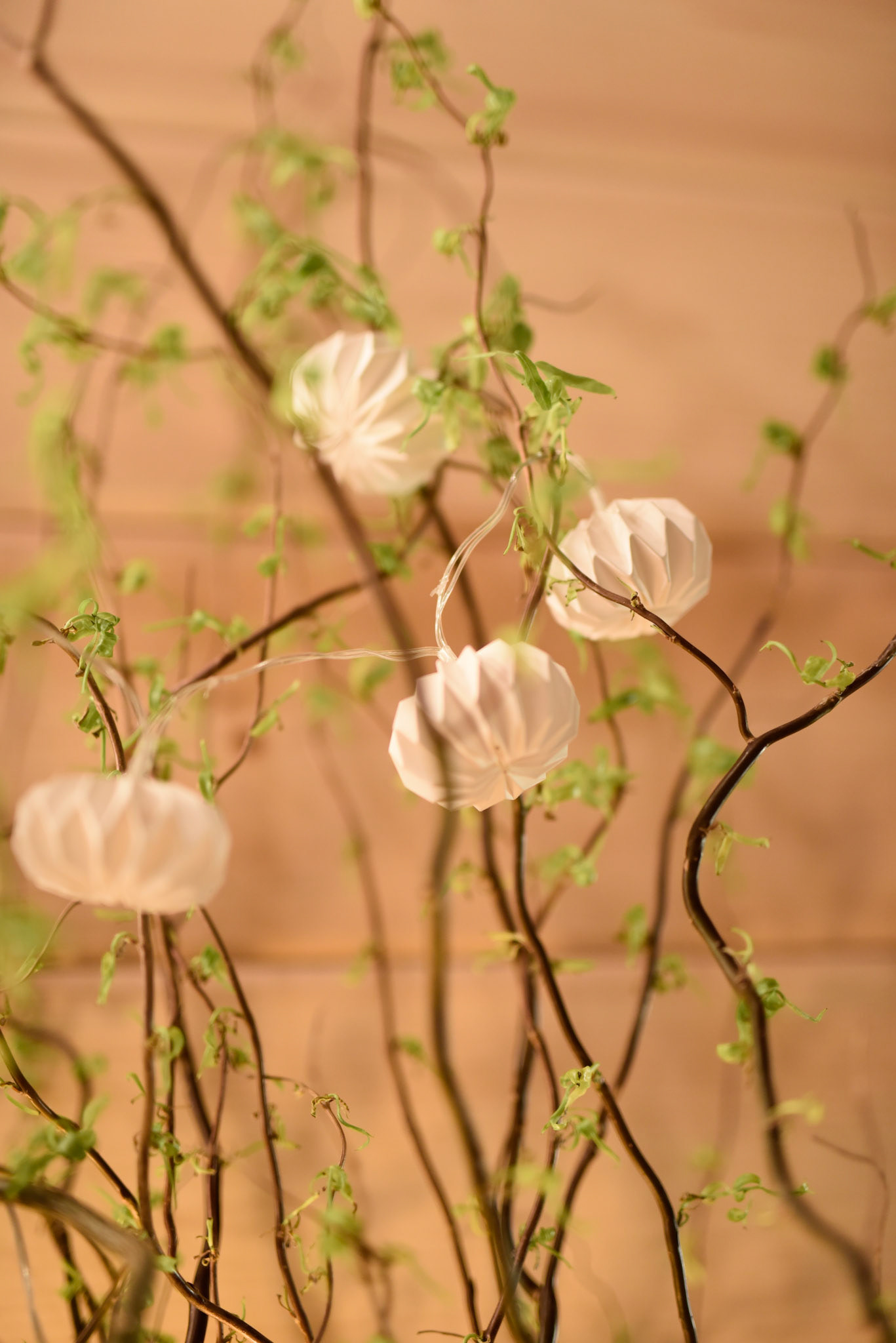Sprouting branches with mini lanterns still life 3