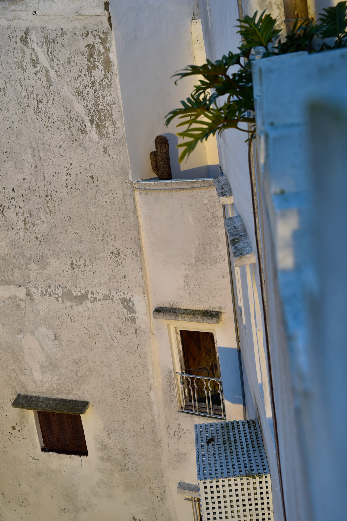 rooftops