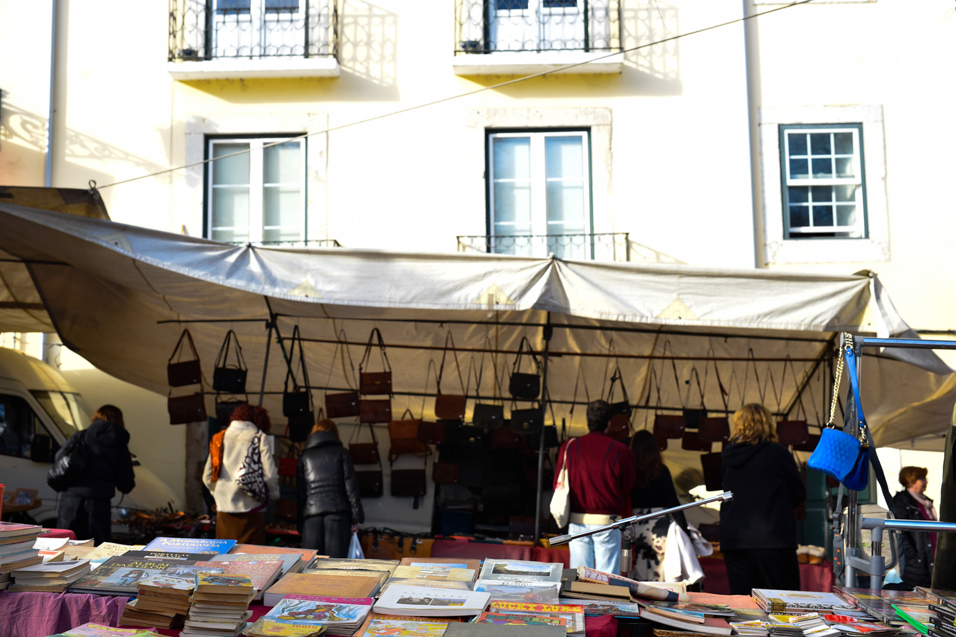 Flea Market books and bags