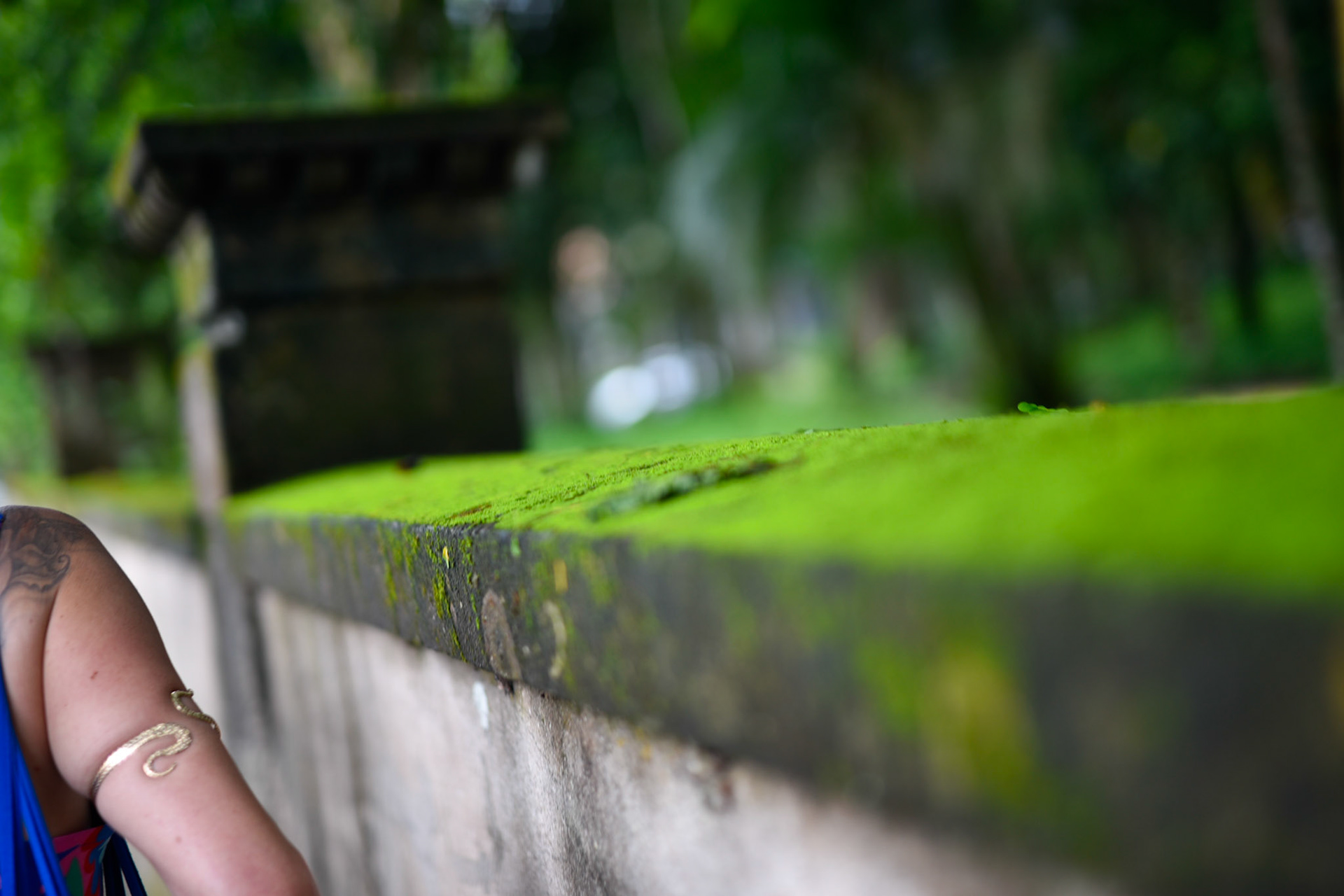 fellow tourist (Chilean), Park Lage