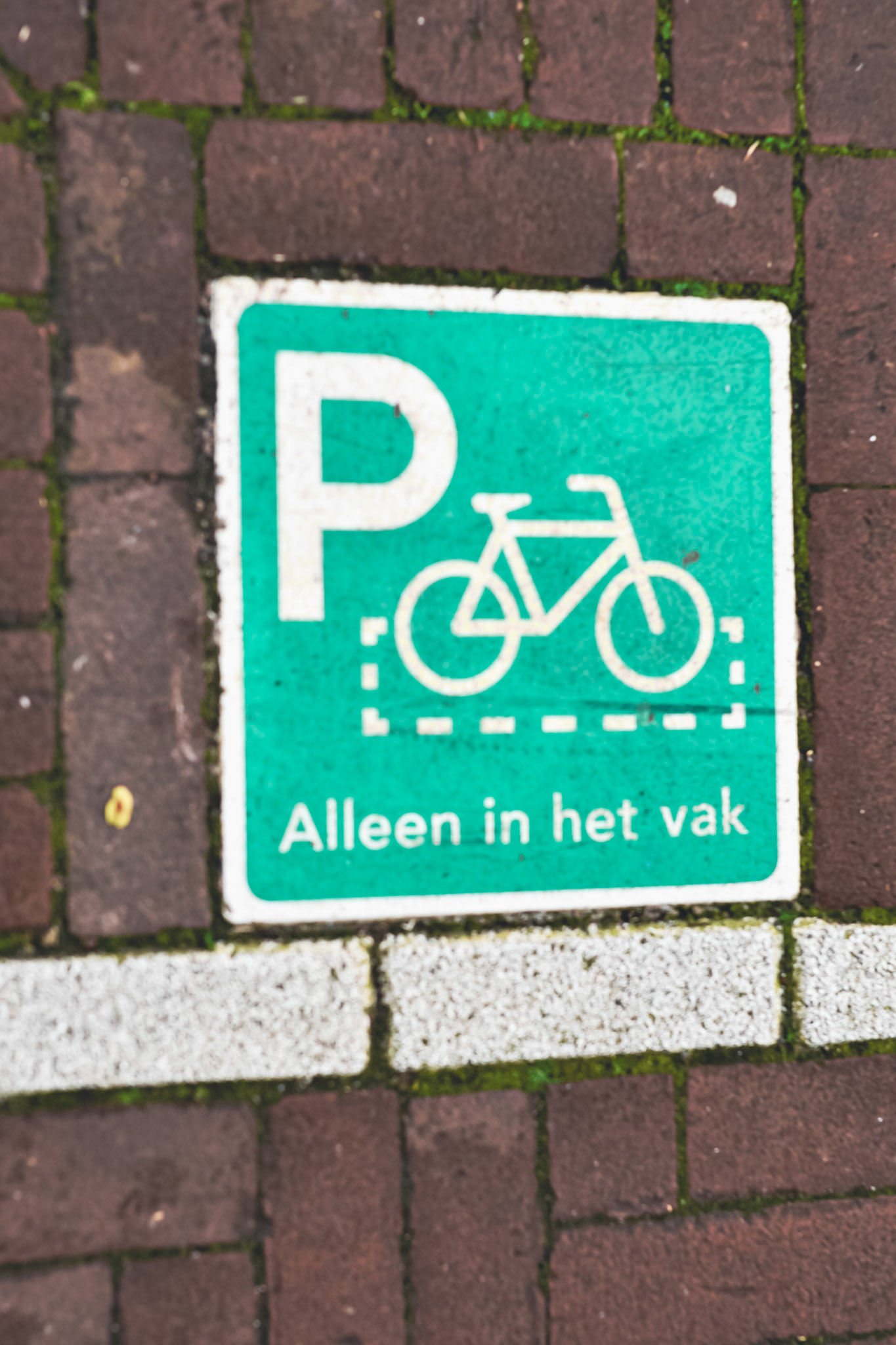 put your bike in the square