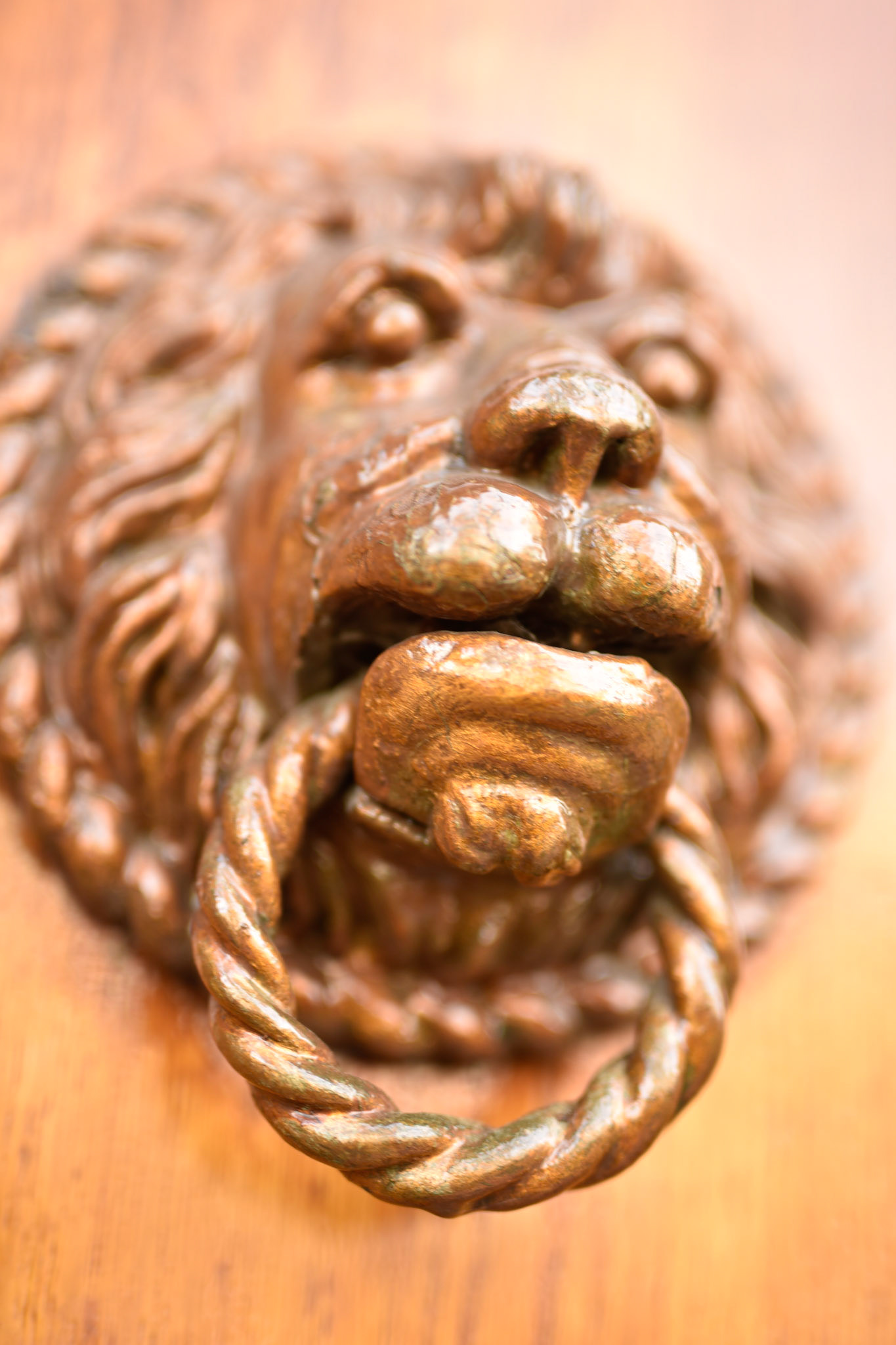 lion door-knocker