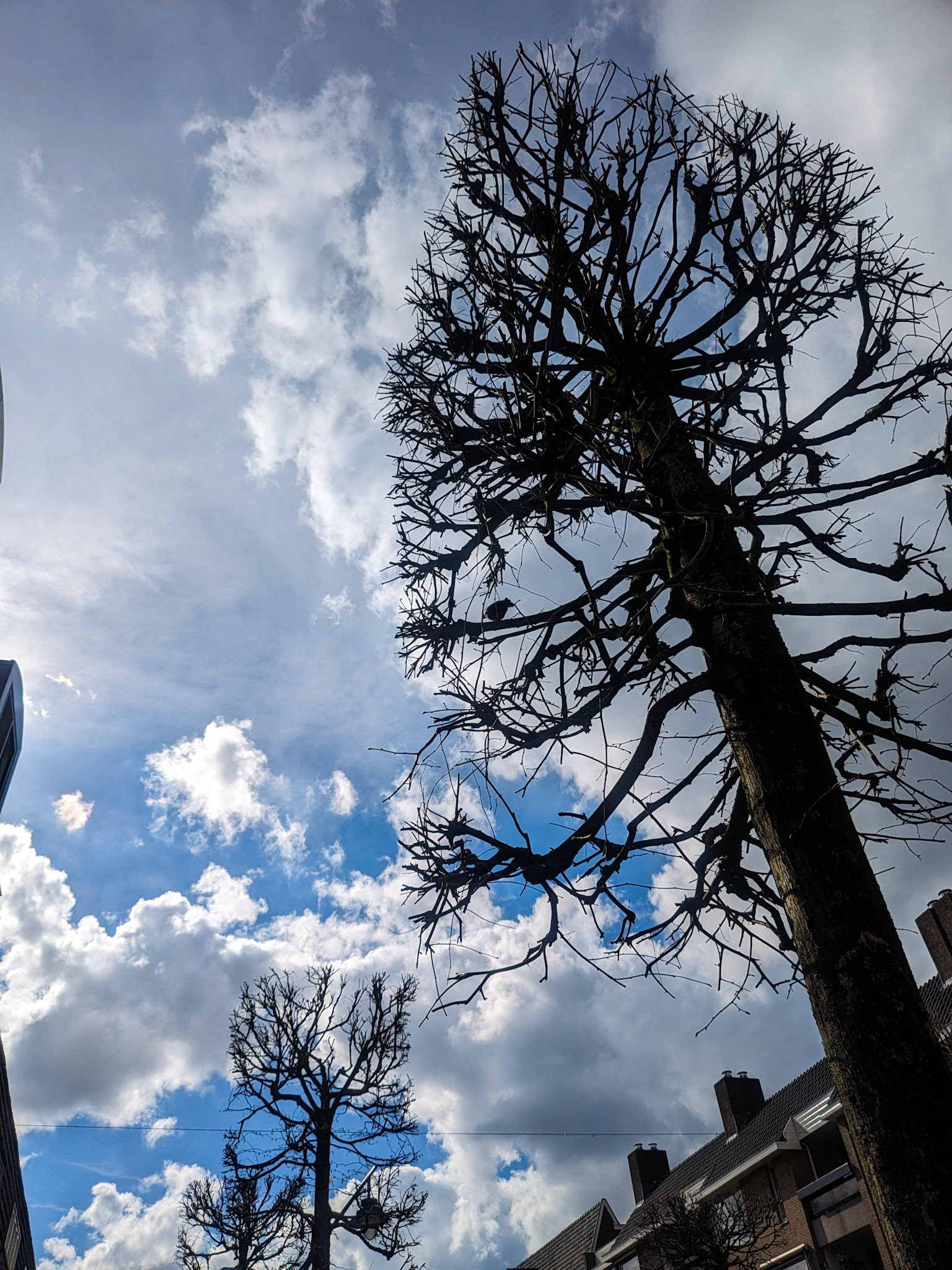 documenting blue sky