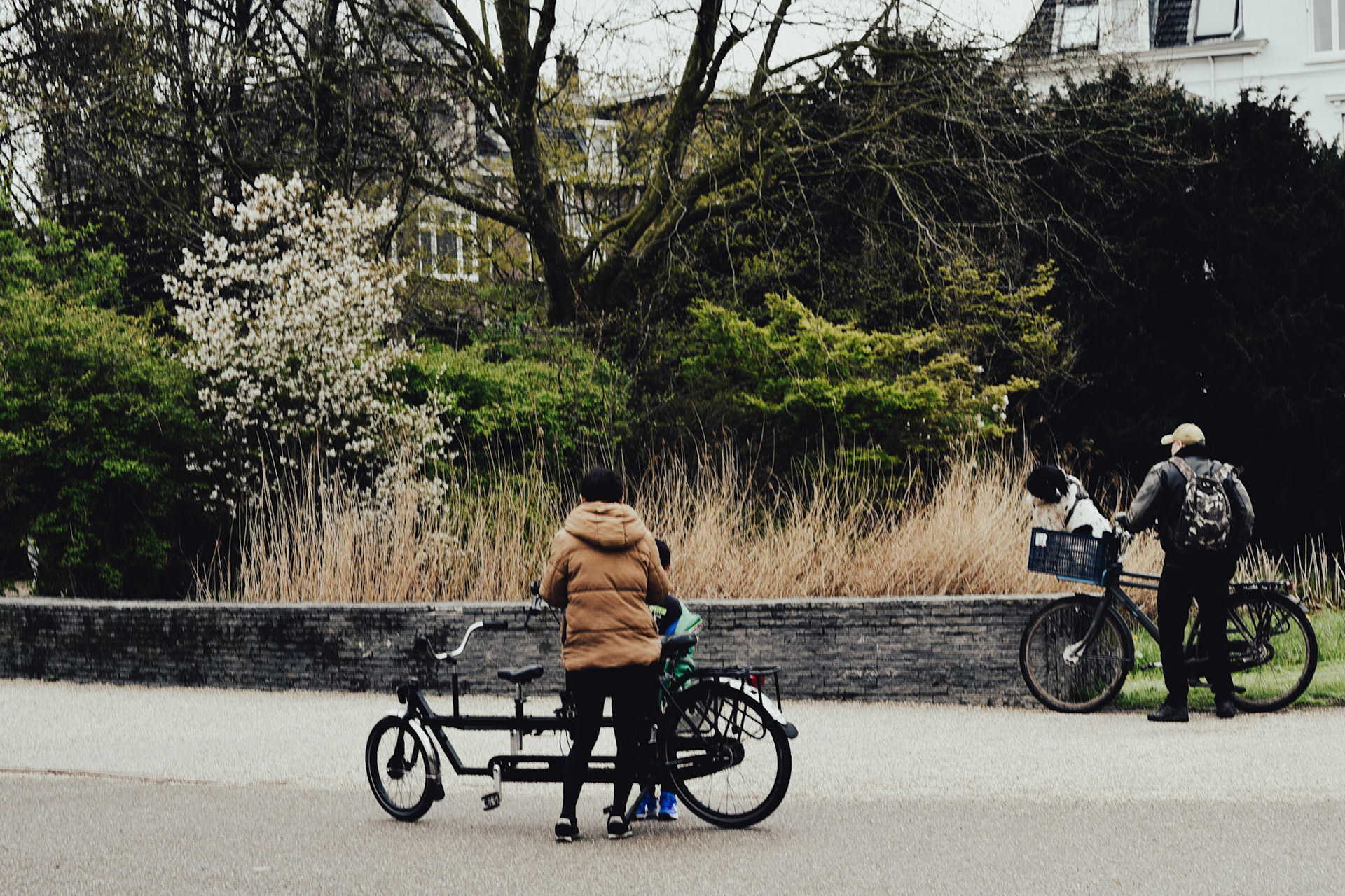 tandem and dog in basket