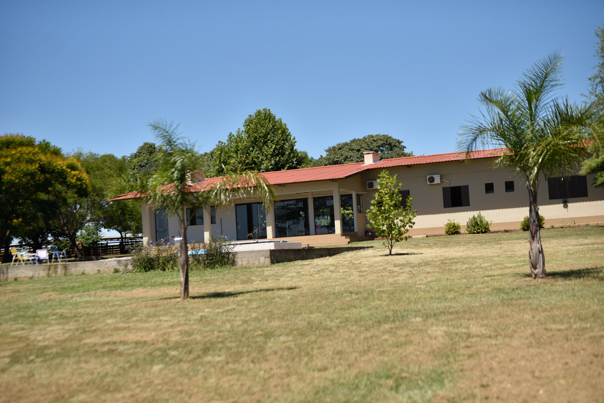 house with palm trees