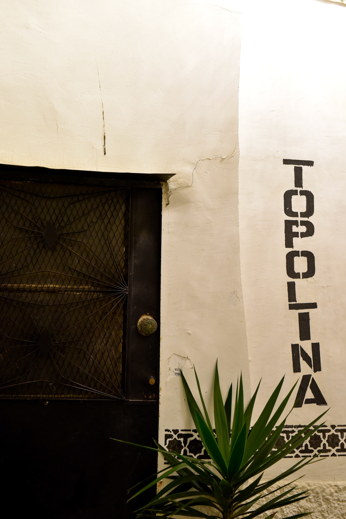 Topolina