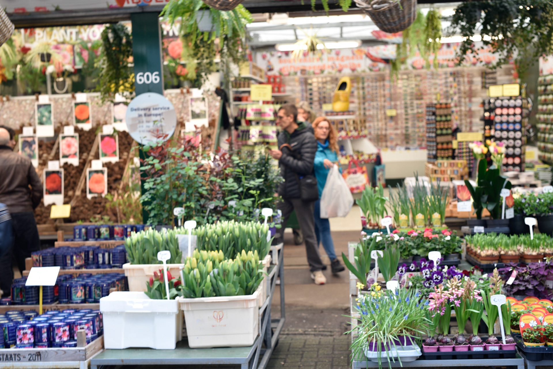 flower market in Amsterdam