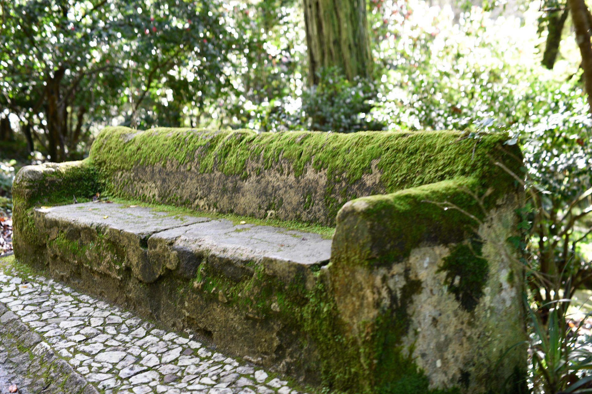 Moss covered couch
