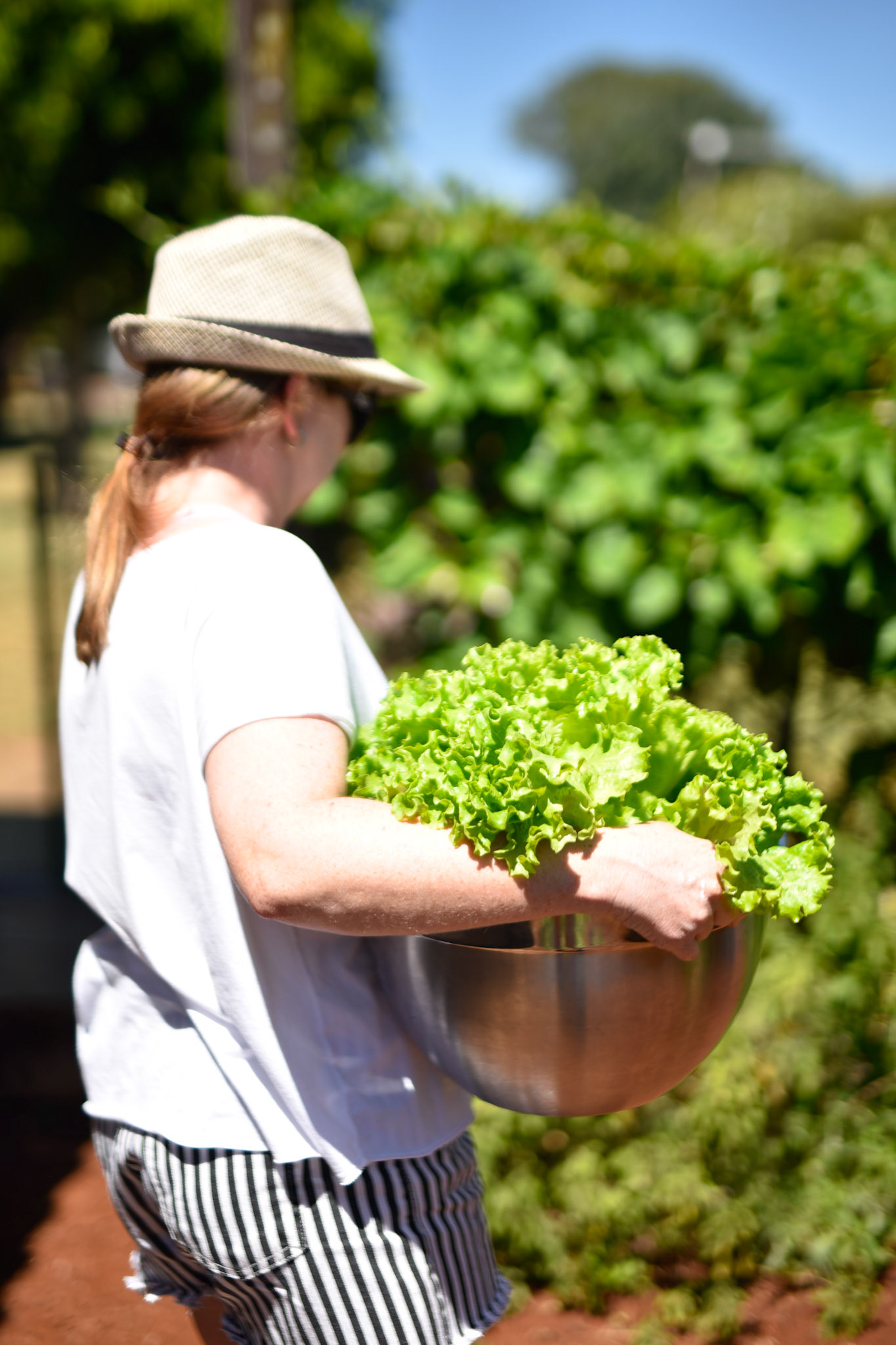 Scheila with lettuce