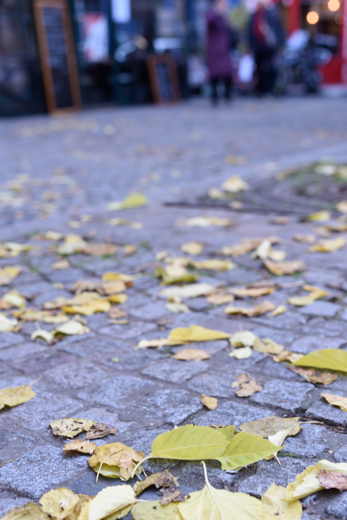 Fall