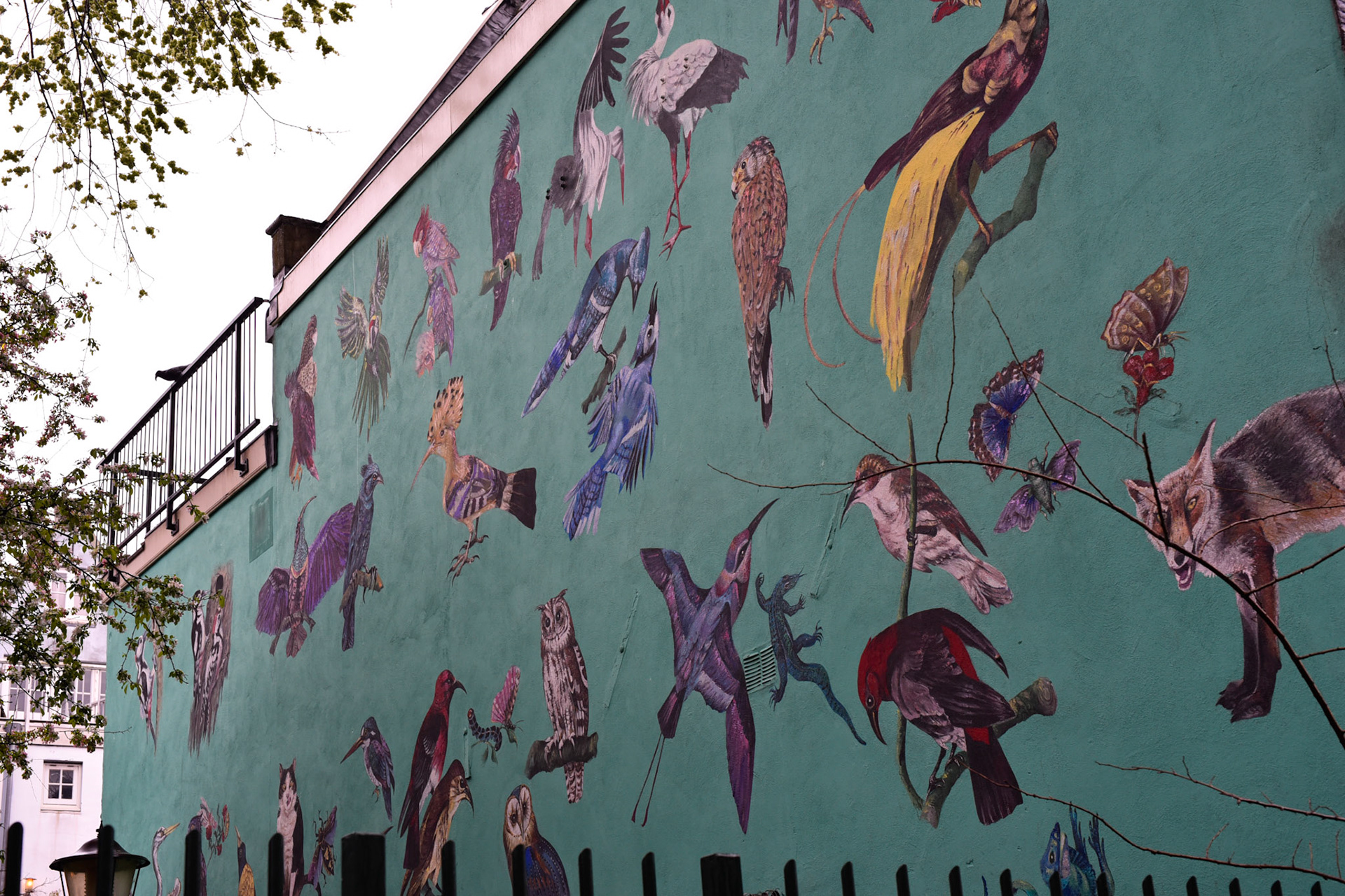 bird mural