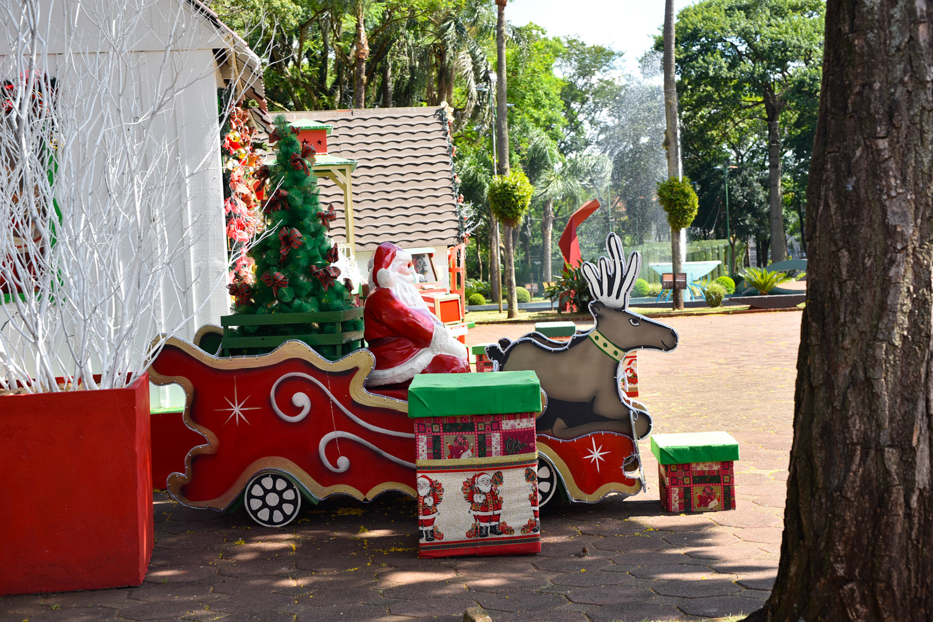 christmas in the summer