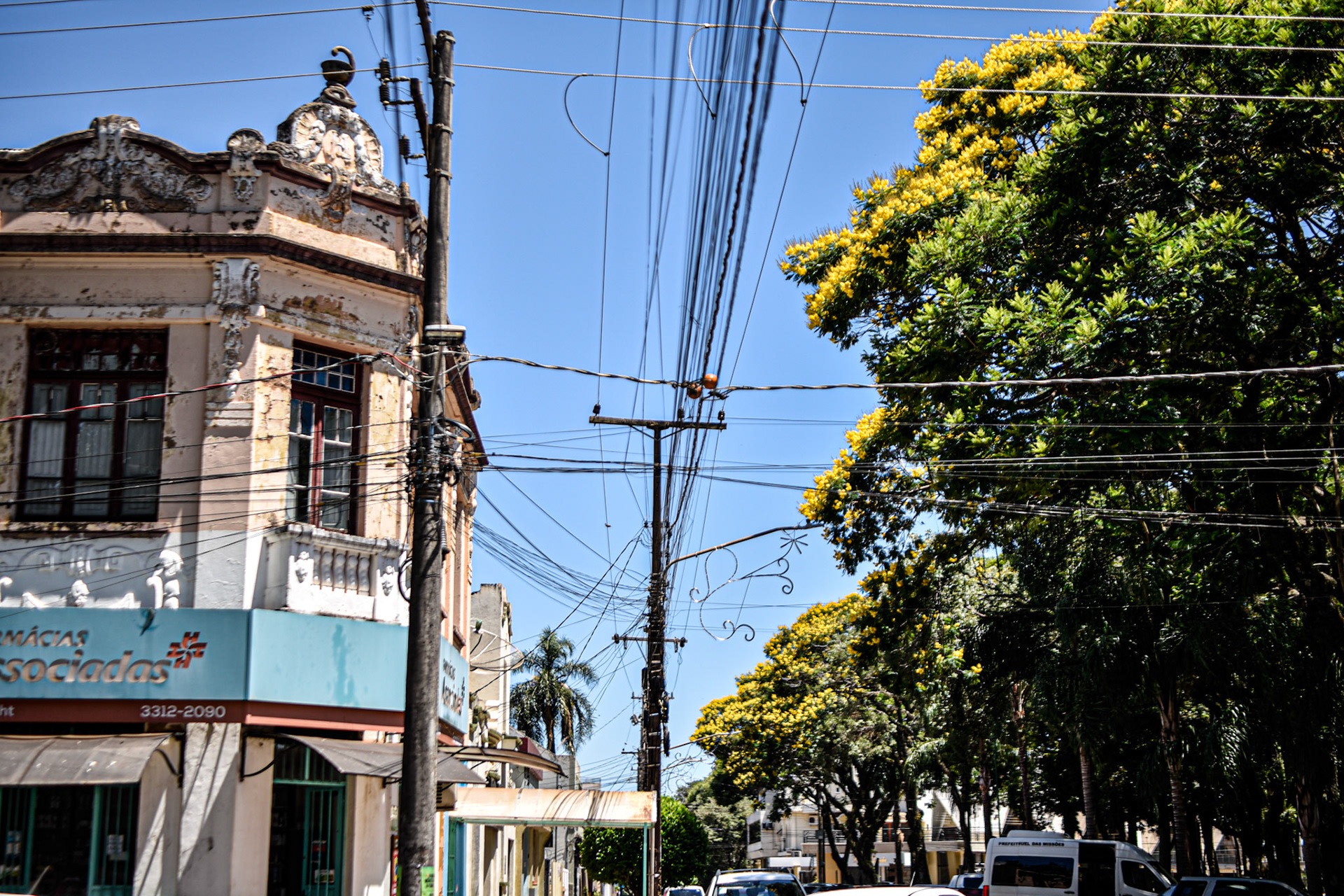 old building and Yellow Poinciana tree?