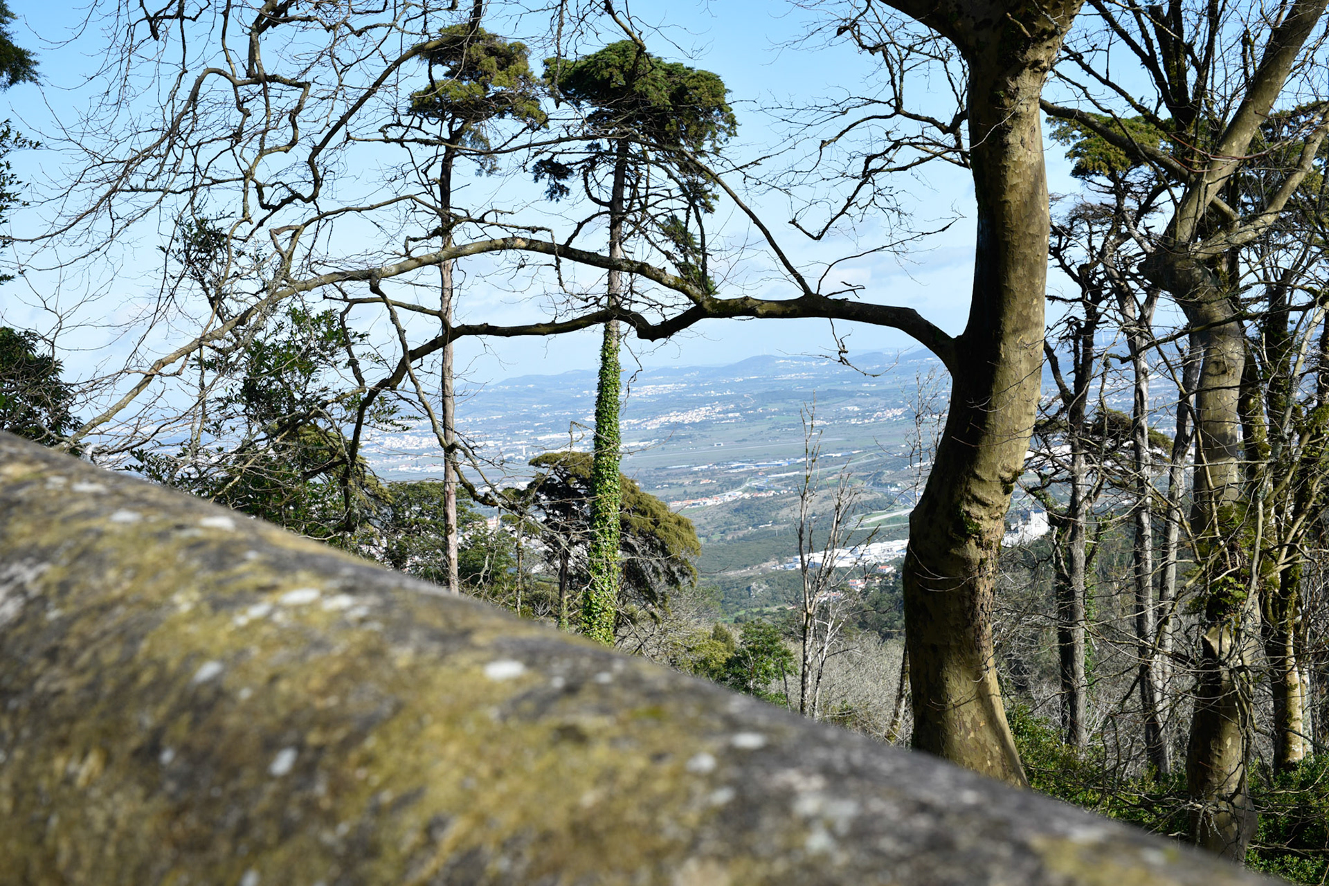 Looking out