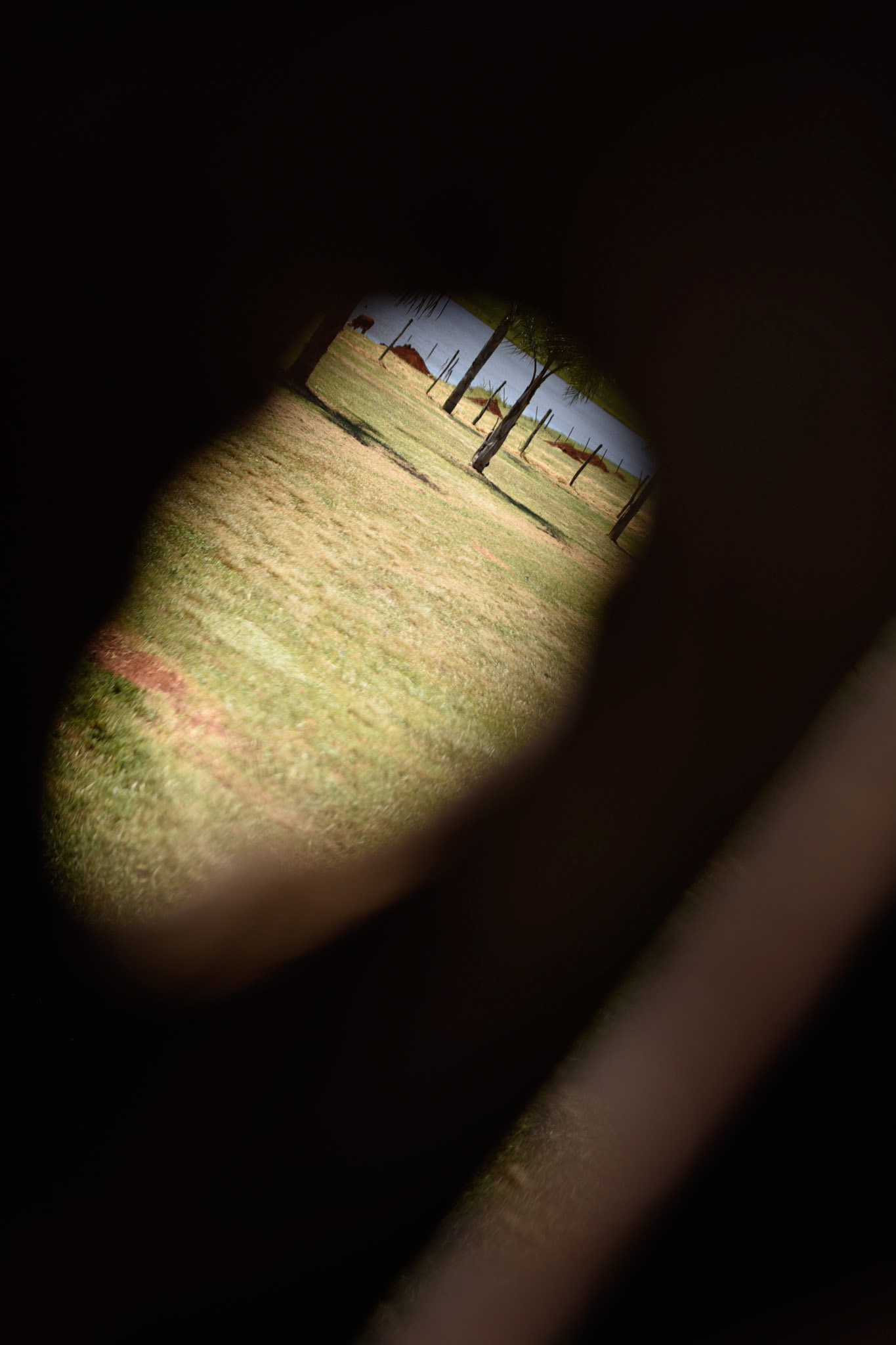 through the hole
