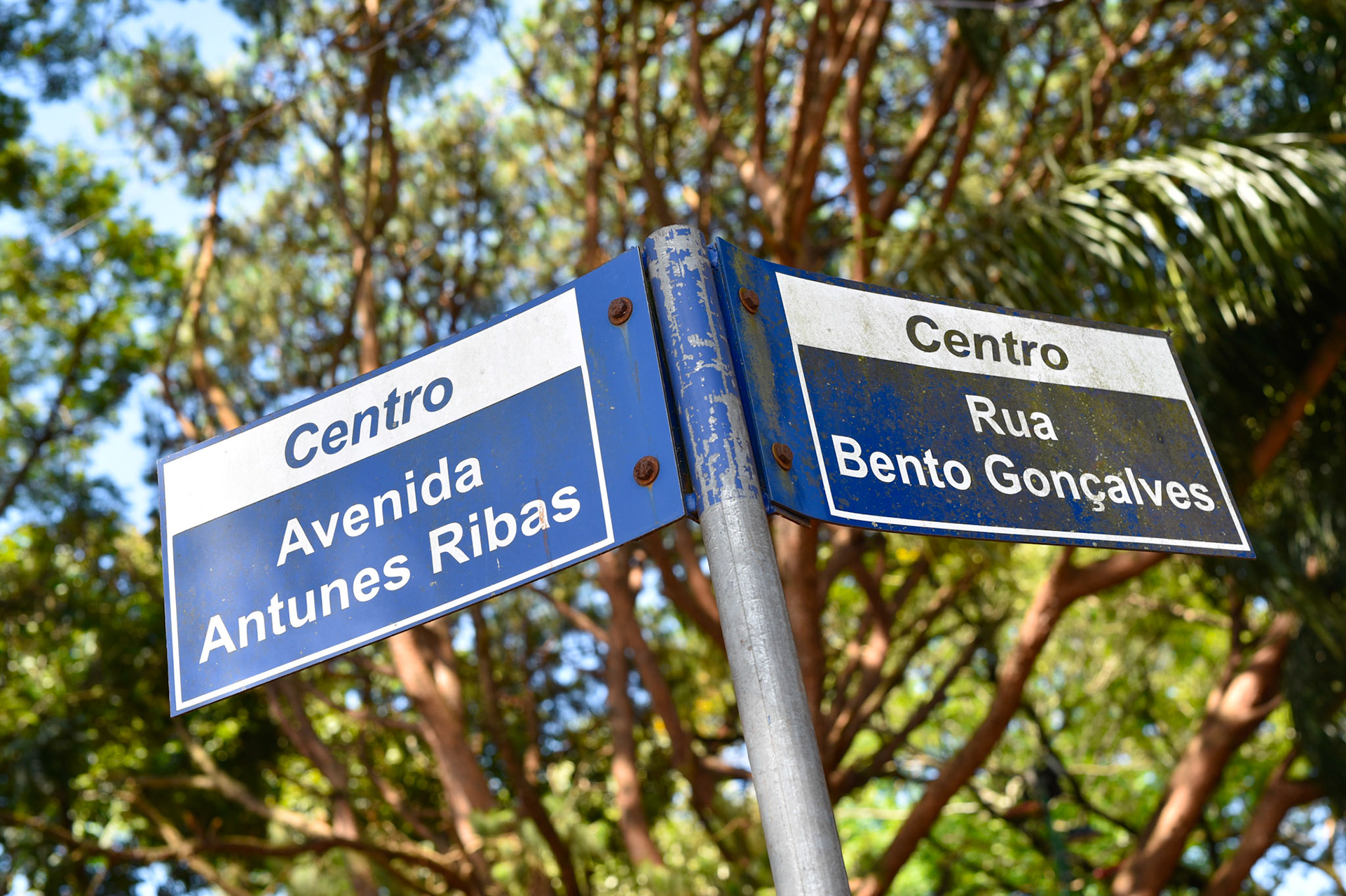 Antunes Ribas was a 19th century politician Bento Gonçlaves is a municipality with a high population of italian immigrants