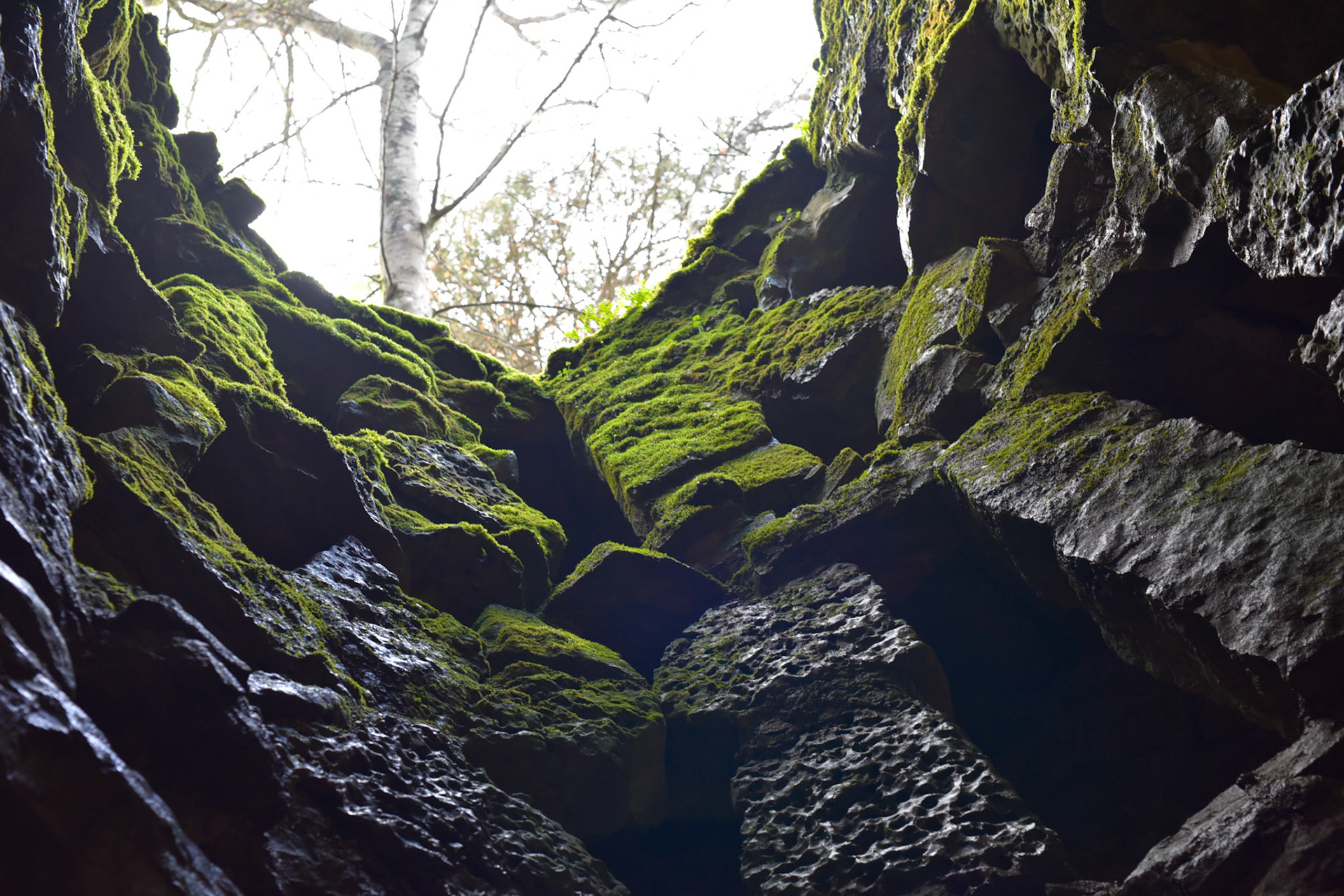 mossy rocks