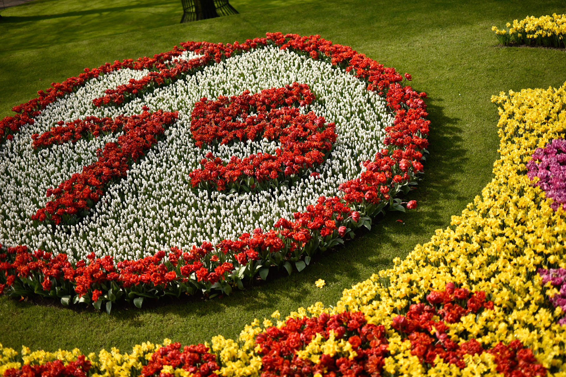 75 years in flowers