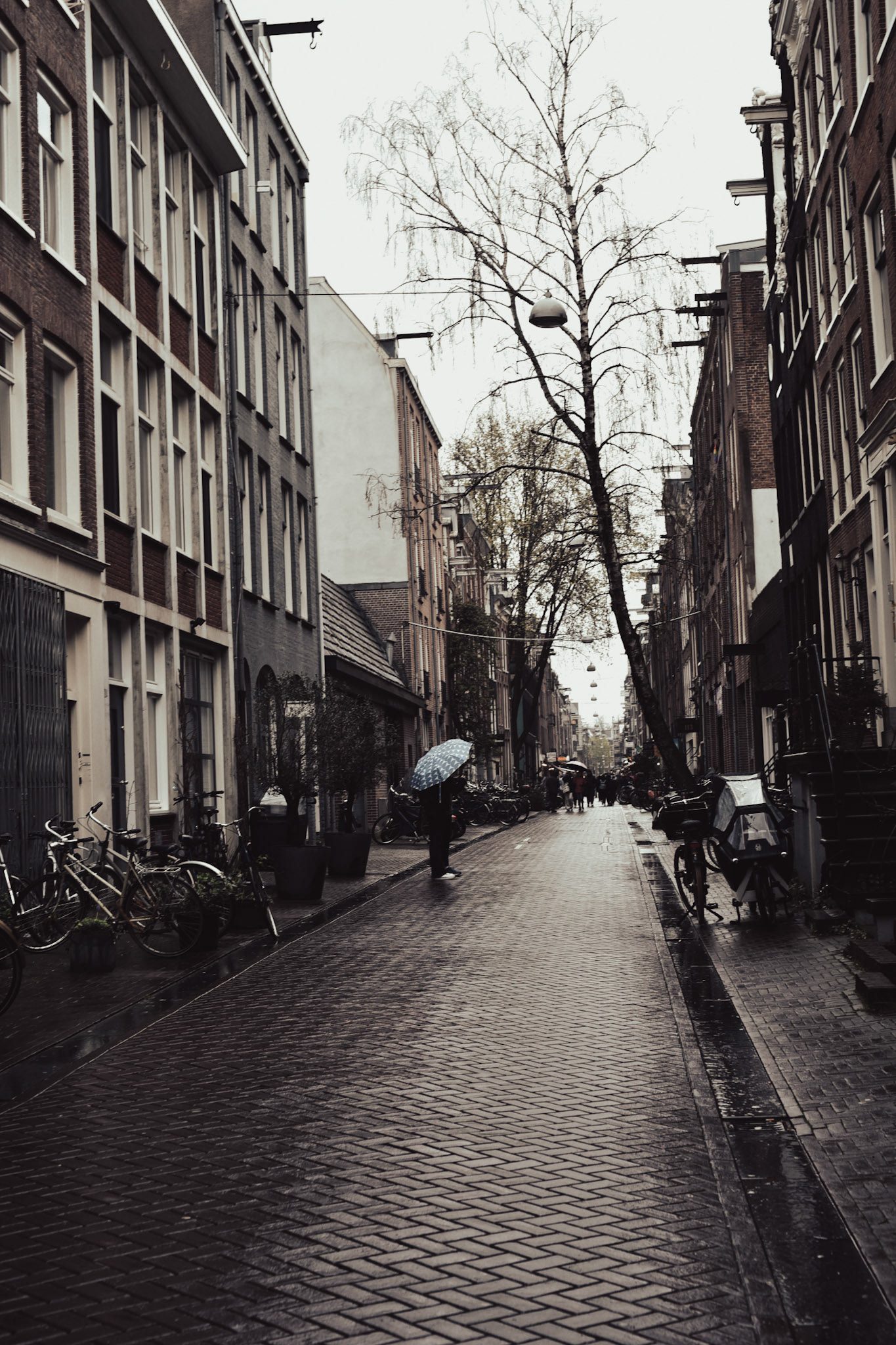 rainy streets