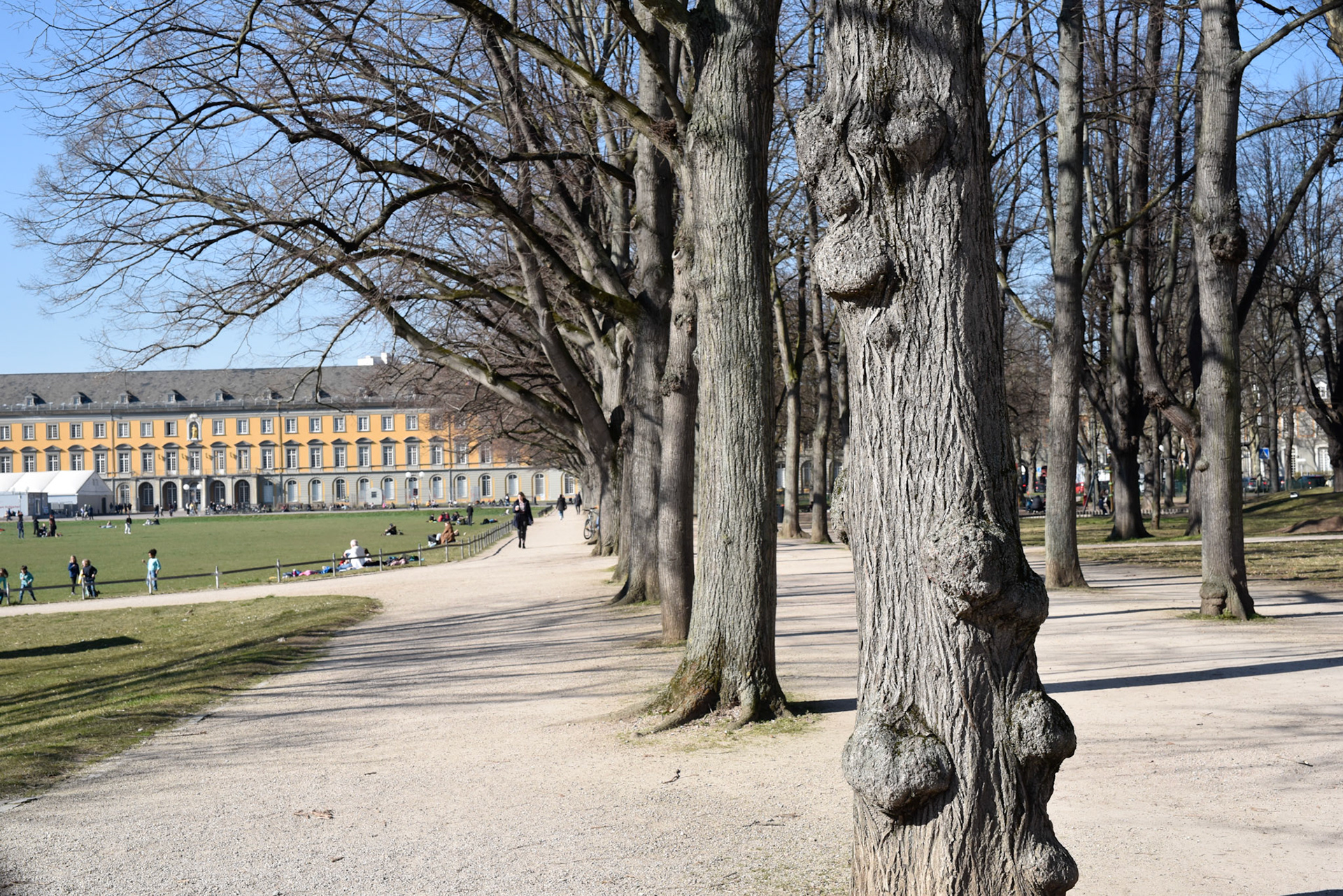Park and University, Bonn