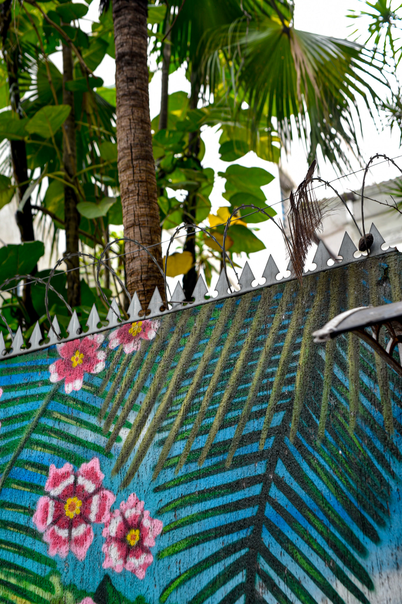 Mango Tree Hostel meeting spot