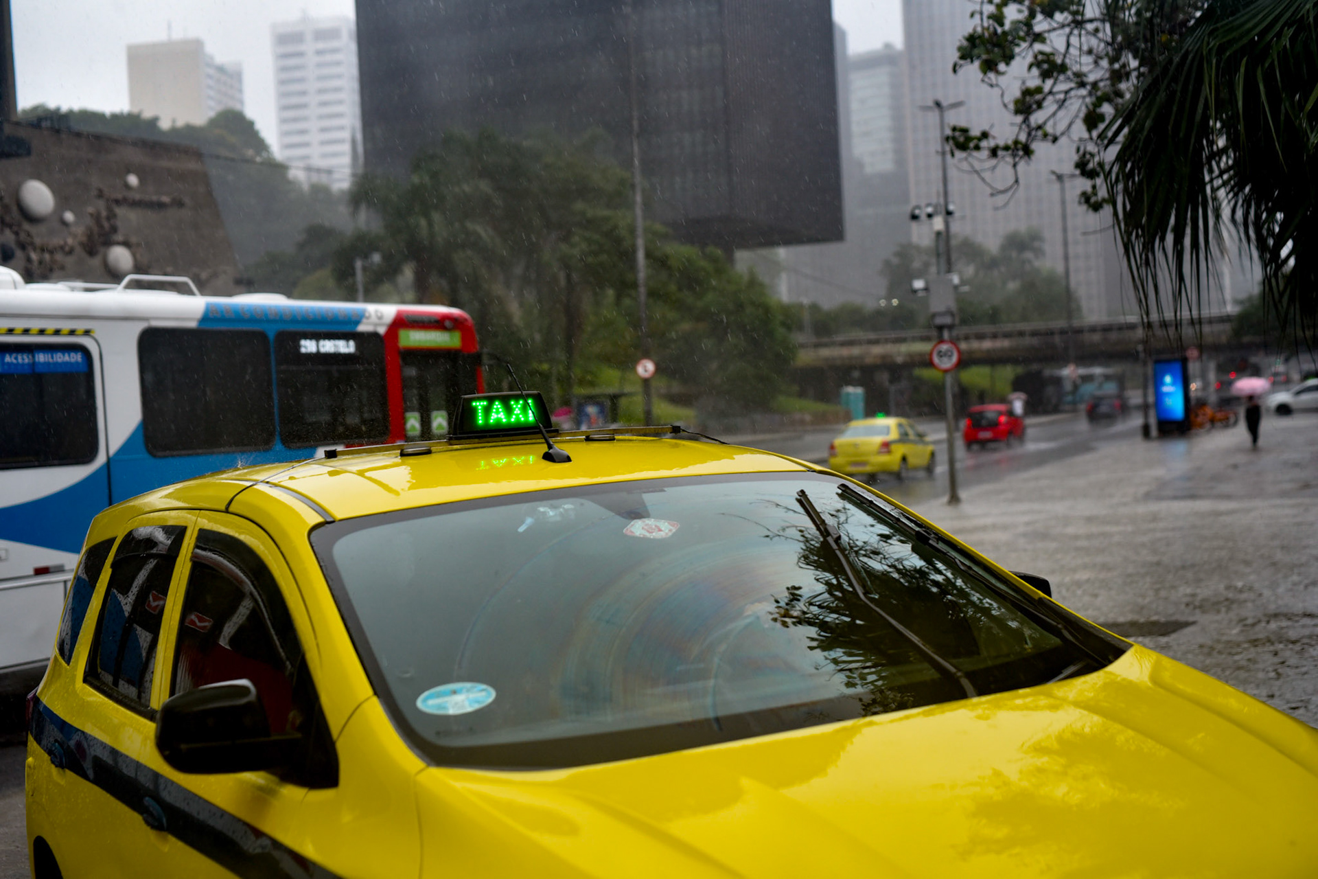 glowing city services