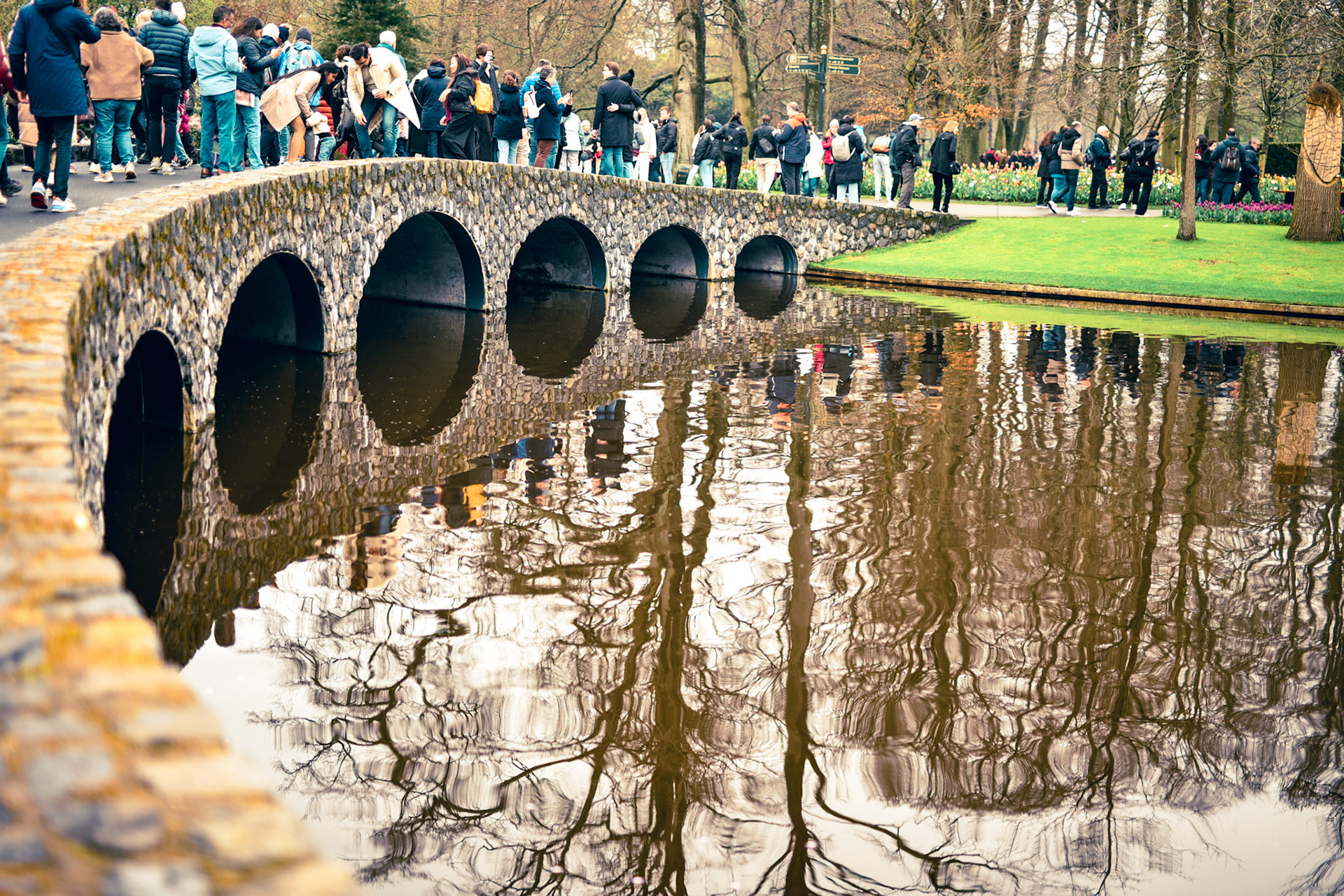 reflections