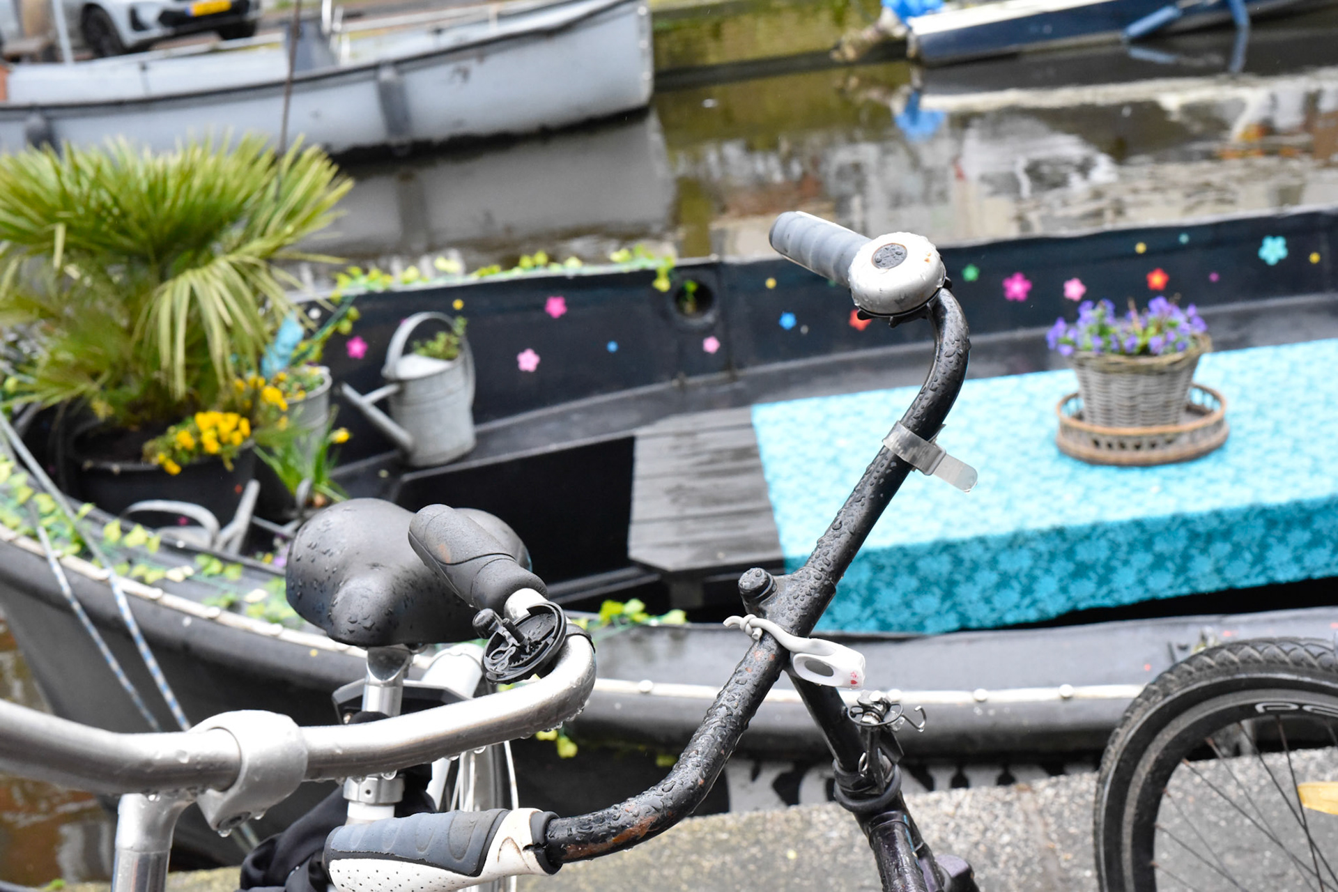 picnic boat