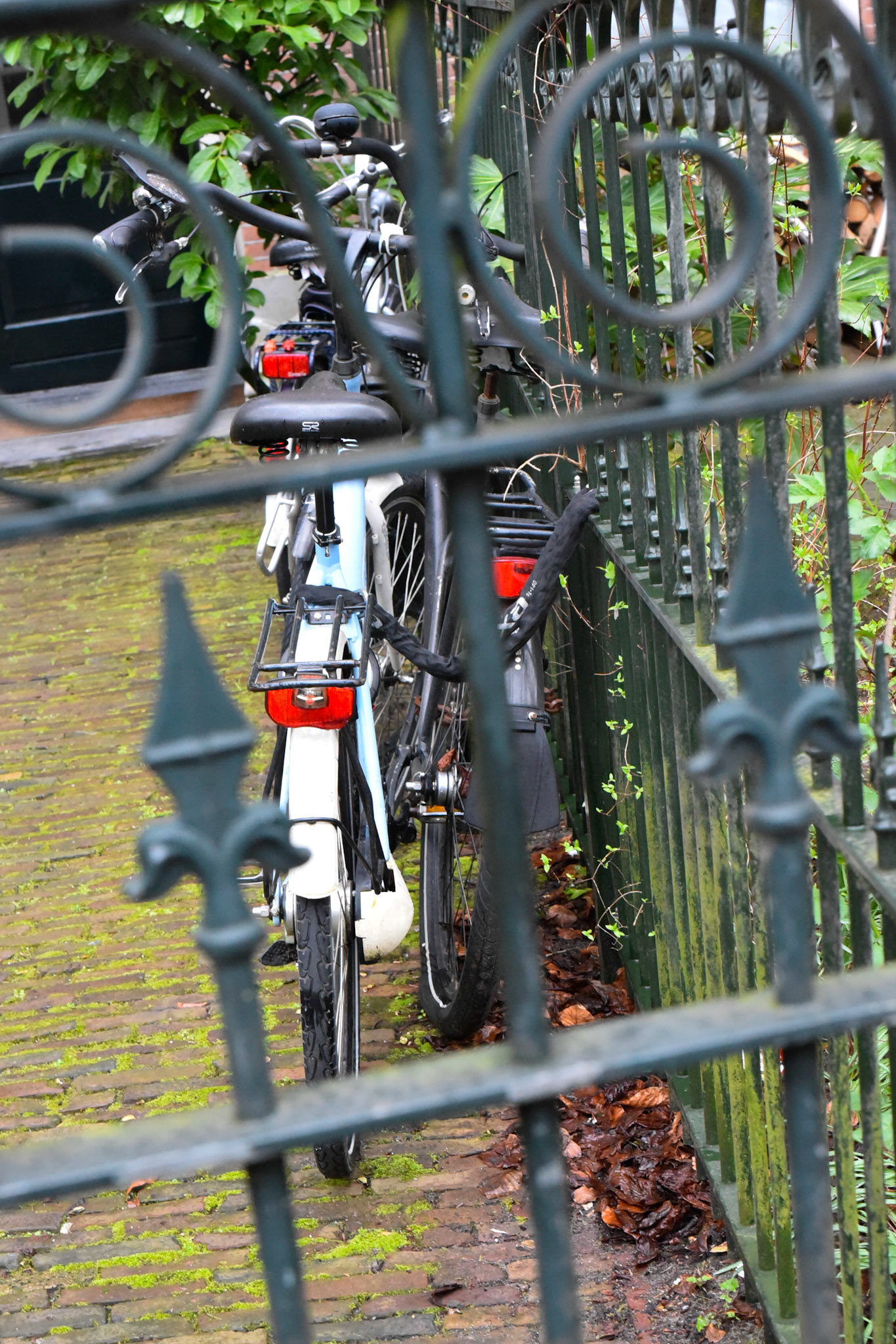 bikes and gates