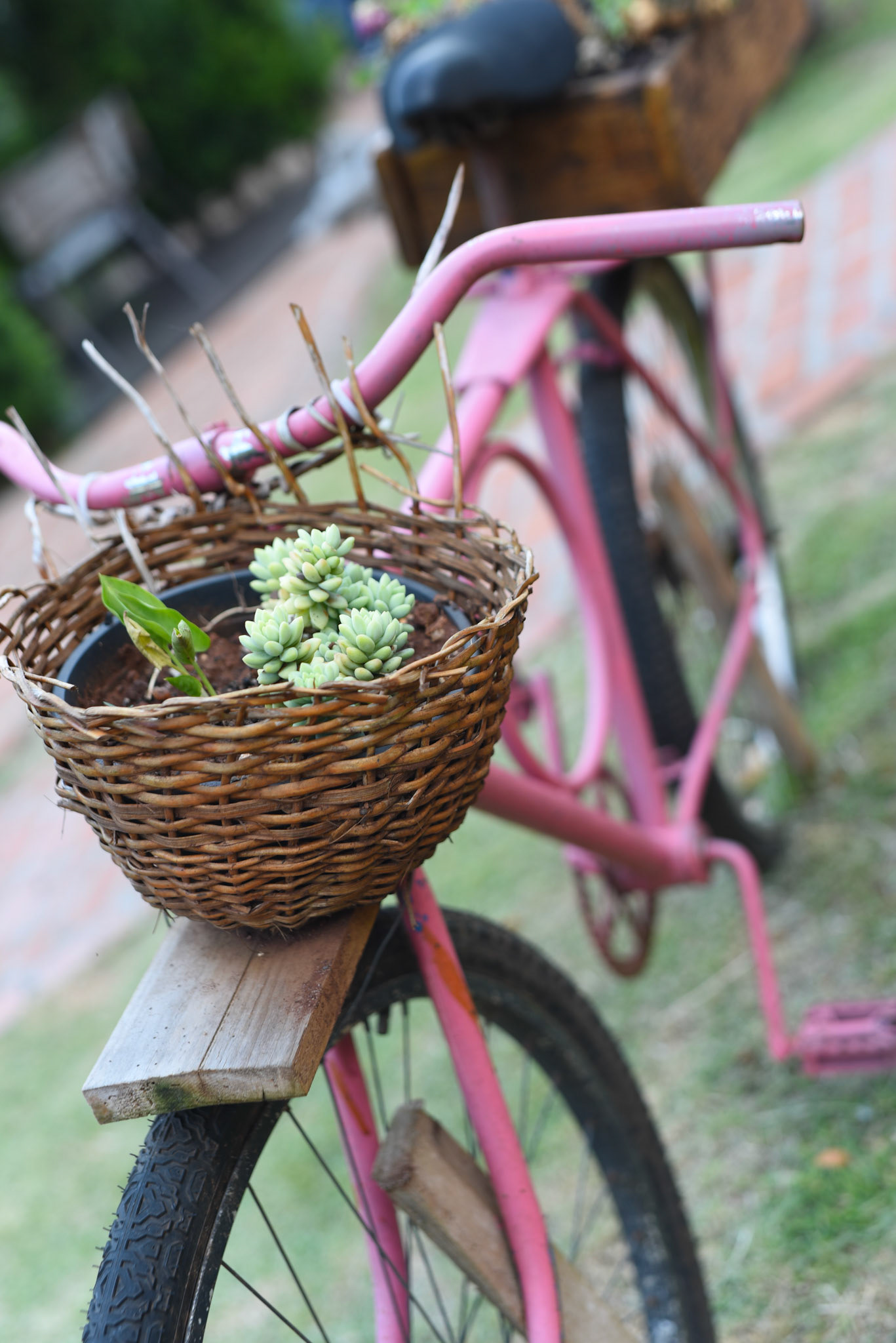  bike prop @ Villa Trentin