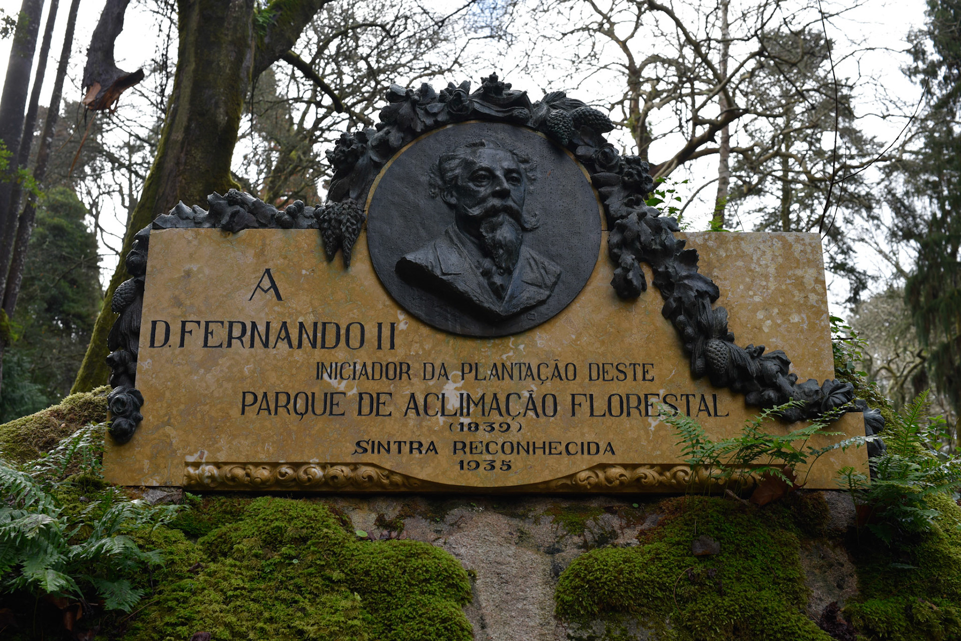 Fernando the 2nd
