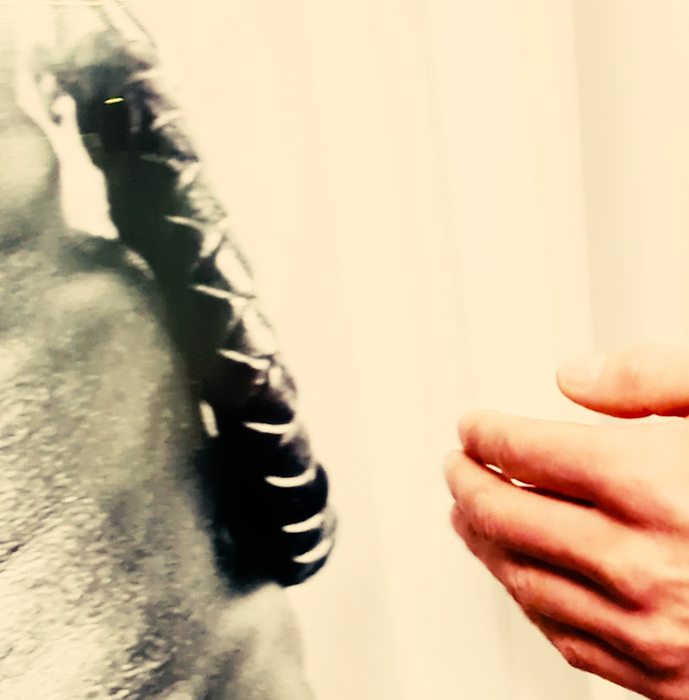 hand